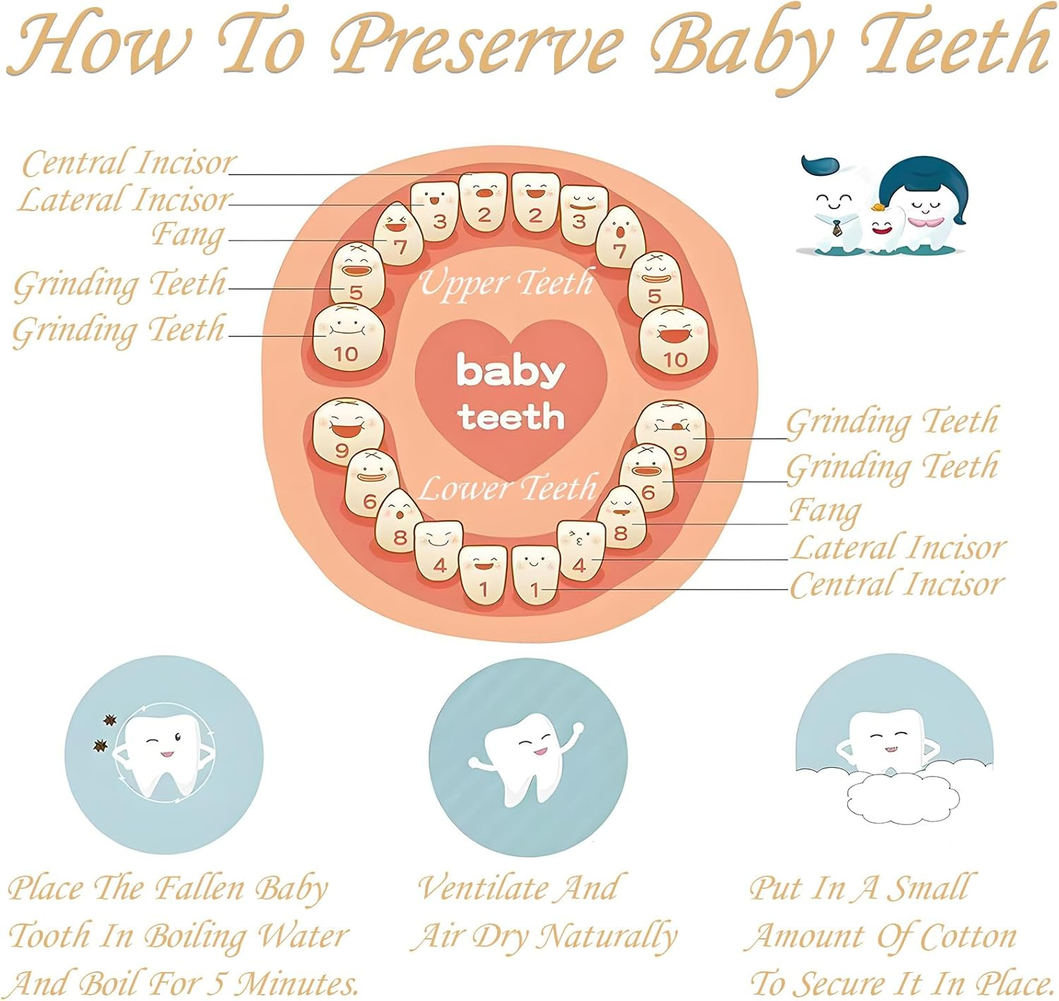 ZHIGOU Tooth Fairy Tooth Holder Umbilical Cord Keepsake Box,Cute Baby Teeth Keepsake Box with Tweezer and Fetal Hair Container,Girls Wooden Tooth Fairy Box Baby Teeth Box image number 3