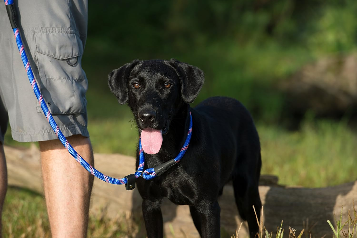 Terrain D.O.G. Rope Slip Lead, Gray/Orange, 4' image number 2