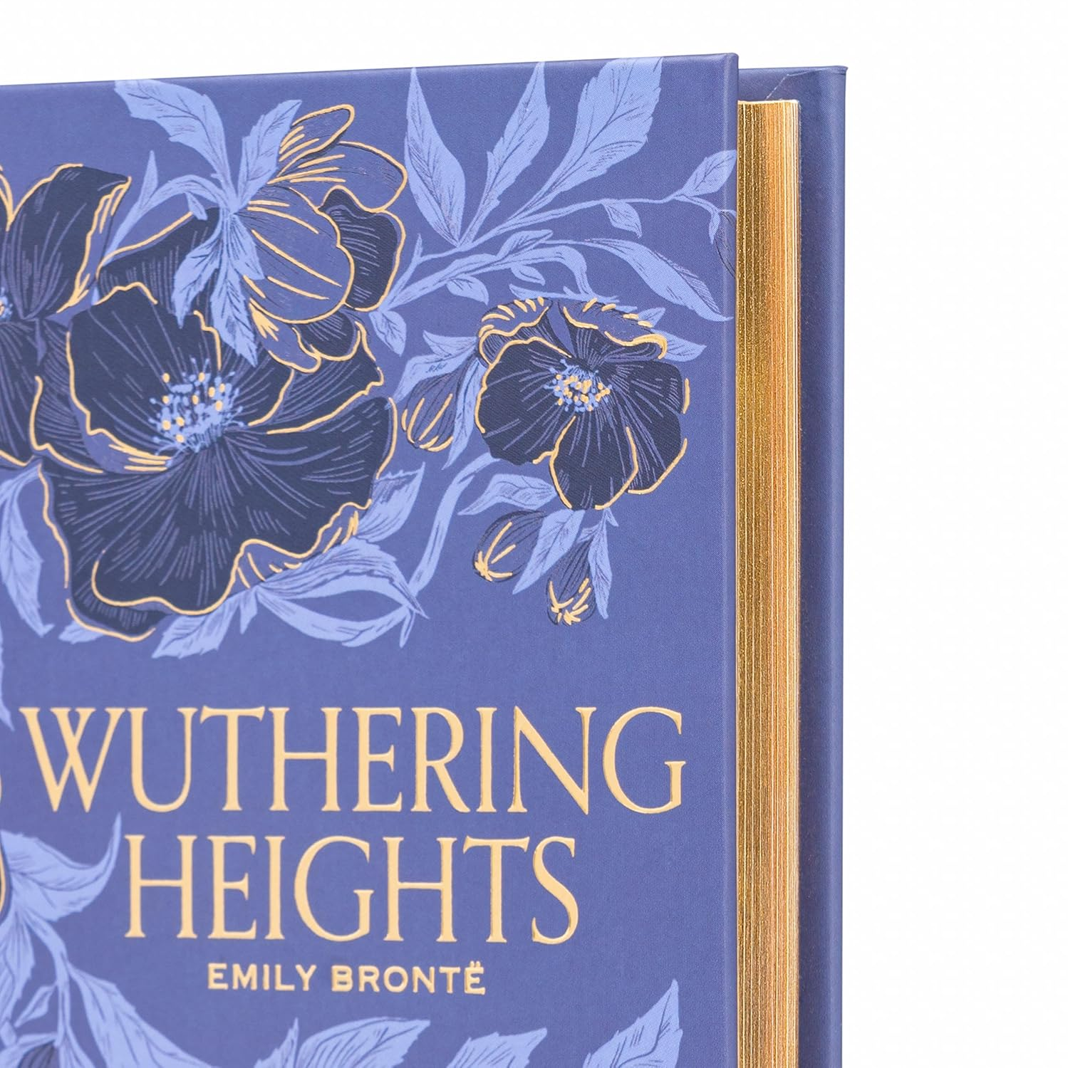 Wuthering Heights image number 2