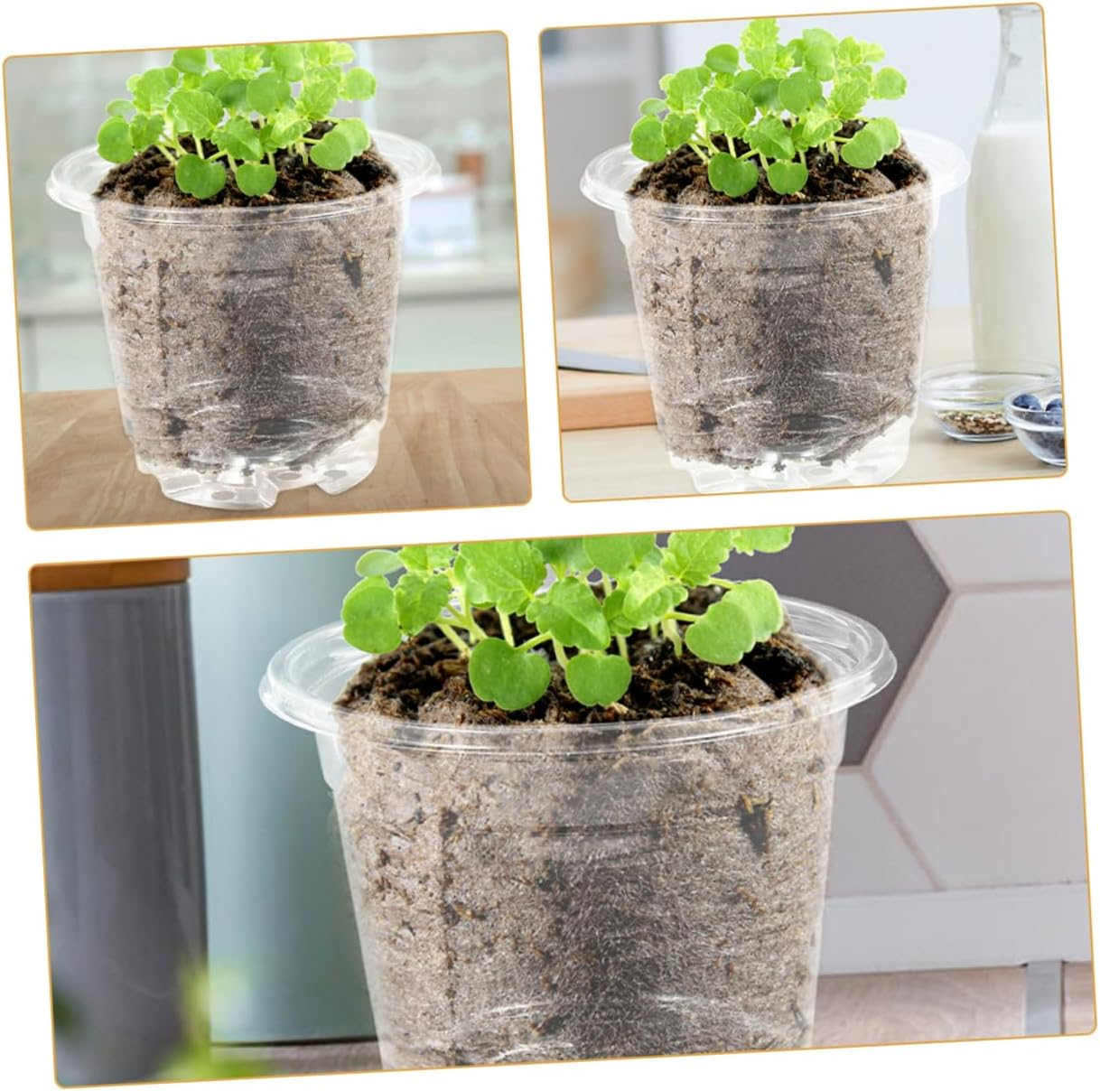 GAROZATION 10Sets Plant Pots Insulated Nursery Pots Drainage Seedling for Outdoor Flower for Garden Supply image number 5