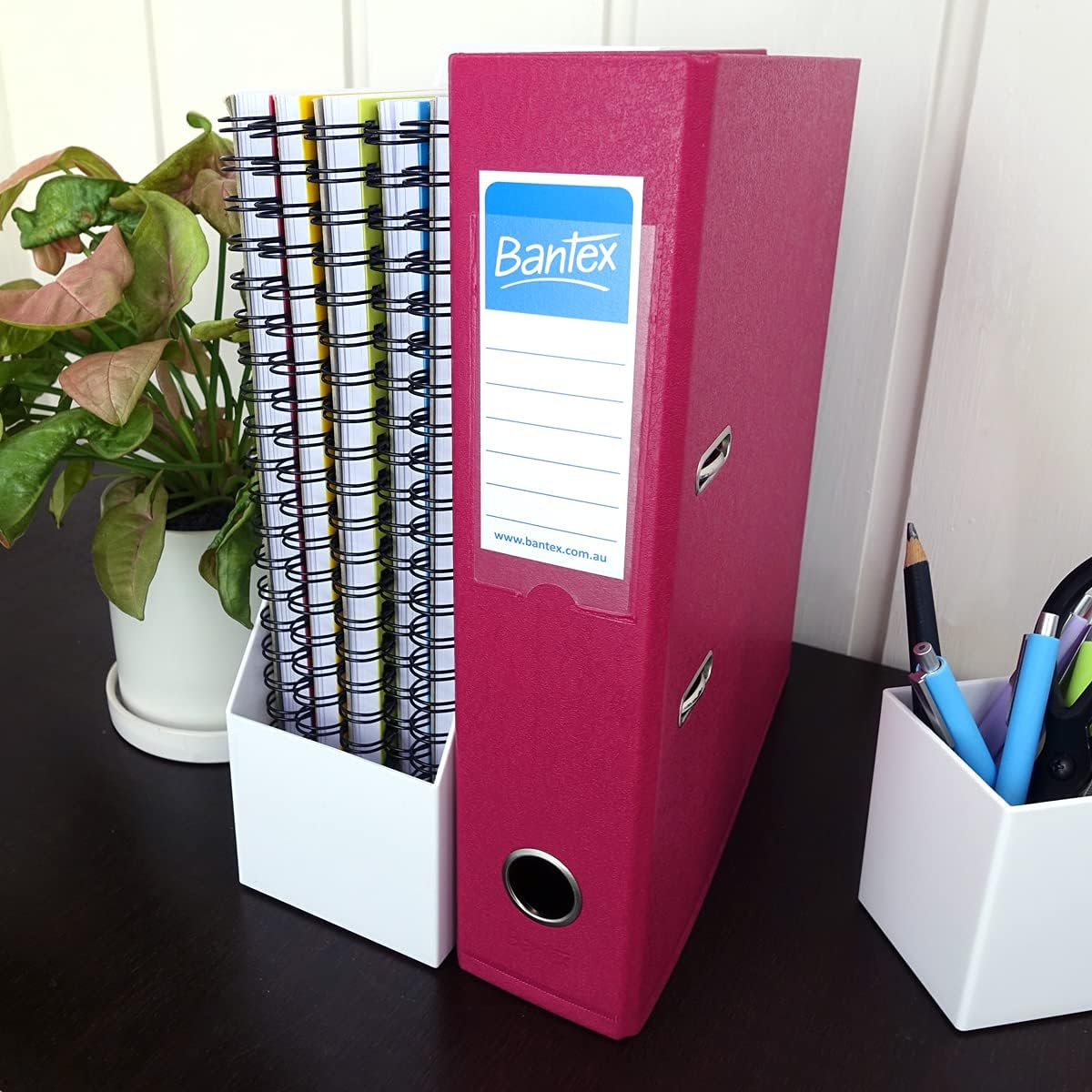 Bantex, Fruits Lever Arch, File, PVC, A4, 70Mm, Grape [Item No. 100851505] - Pack Of 2 image number 6