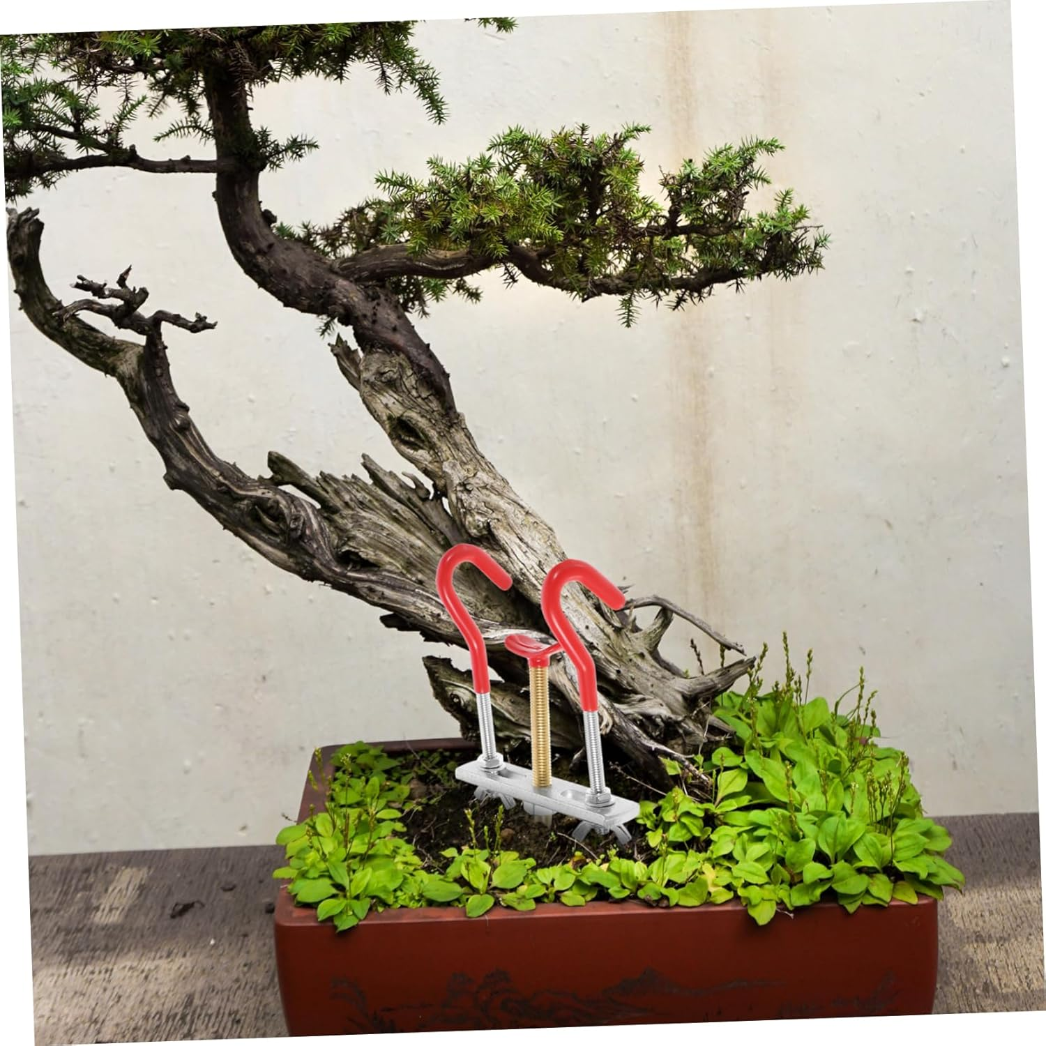 Bonsai Tools Plant Bender for Garden Use Small Branch Regulator with Sturdy Material and Ergonomic Design for Bonsai Styling and Tree Branch Adjustment image number 6