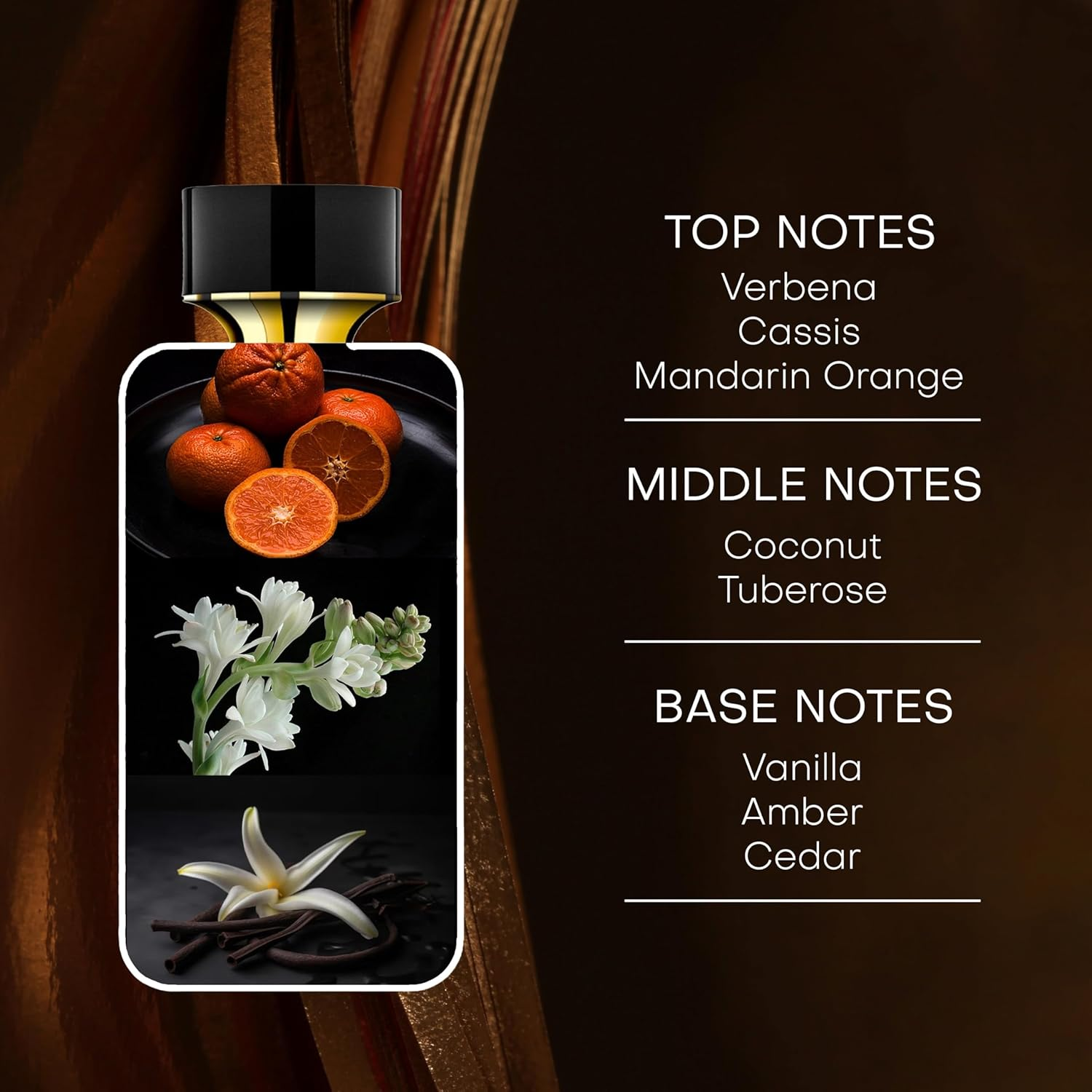 Rachel Zoe Fearless Eau De Parfum Spray, Amber Vanilla, 100 Ml