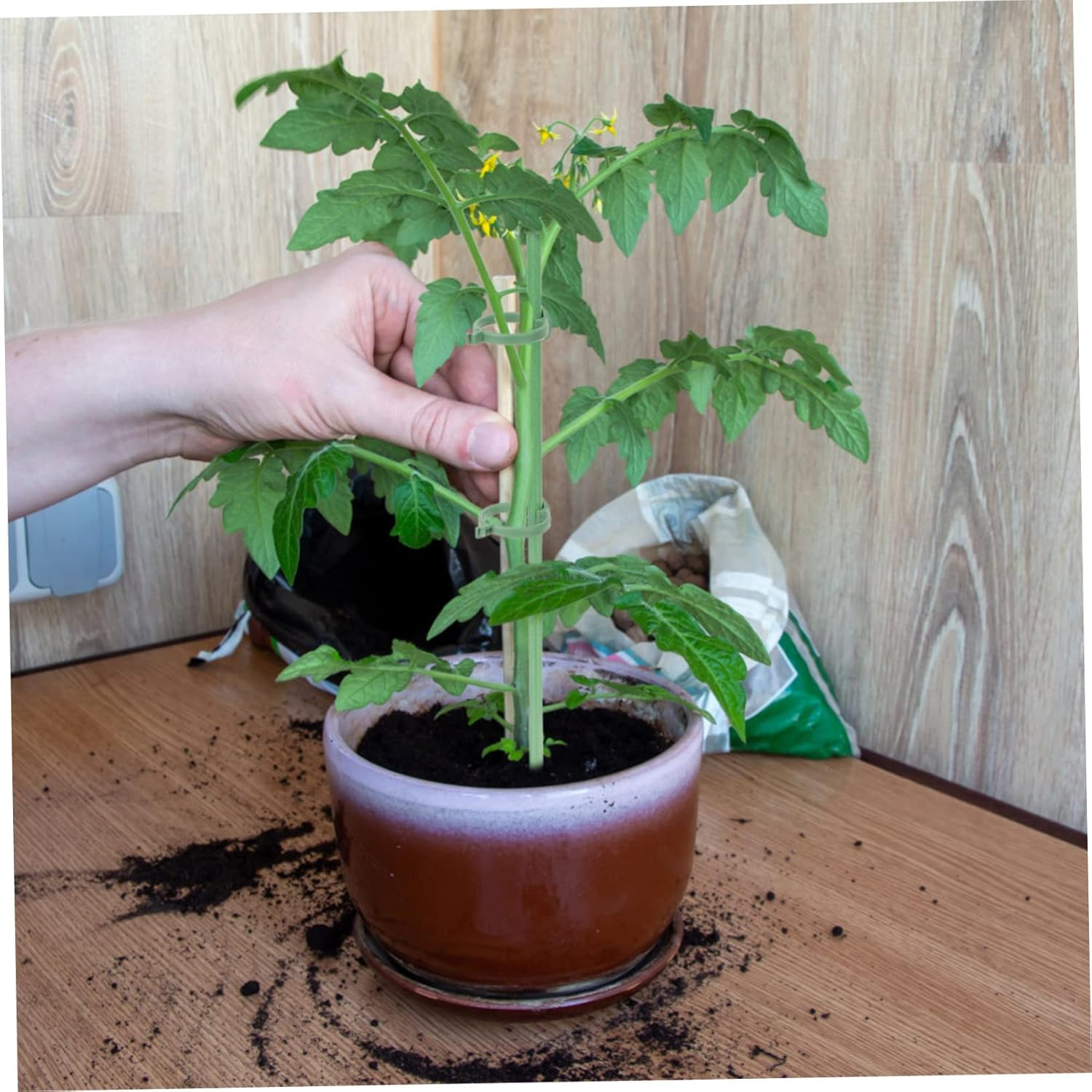 FONDOTIN 10 Pcs Garden Plant Support Stakes Single Stem Plant Stakes and Roses for Gardening image number 1