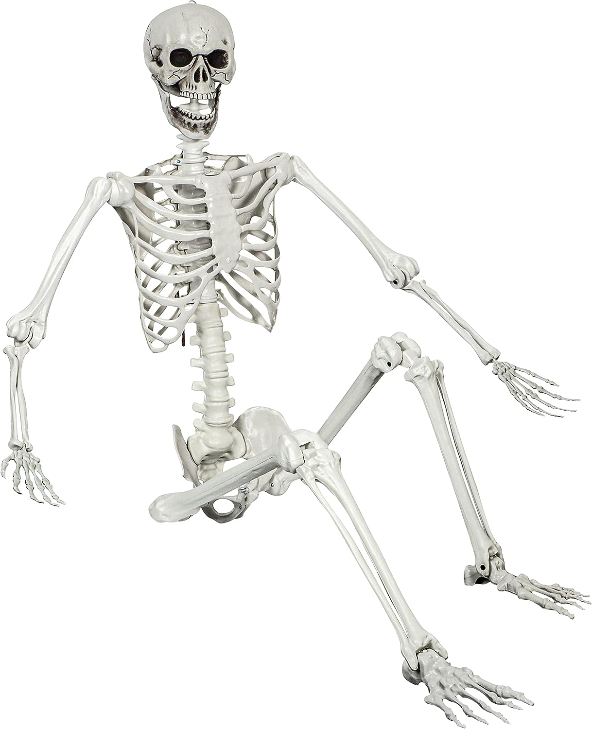 5.4Ft Halloween Posable Skeleton Realistic Life Size Human Skeleton Bones with Movable Joints for Halloween Haunted House Indoor Outdoor D&eacute;cor (1PC)