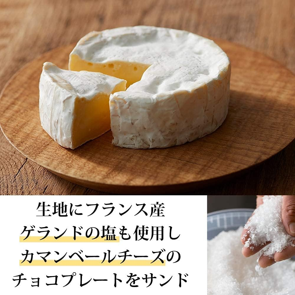 Tokyo Milk Cheese Factory - Salt & Camembert 20 Pc