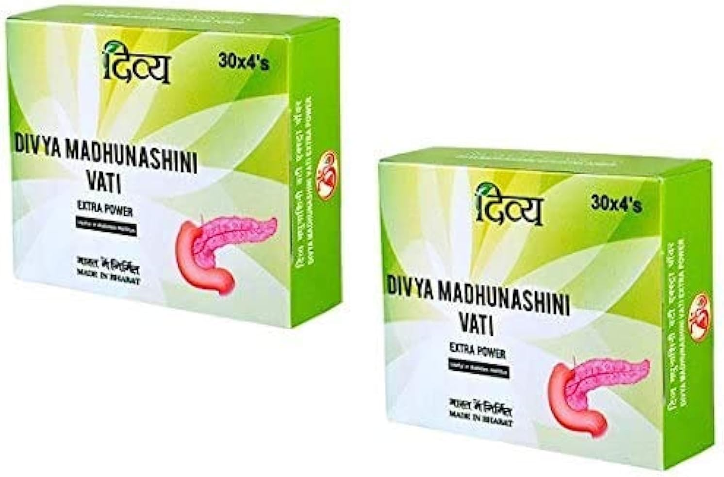 Divya Madhunashini Vati Extra Power 120 Tablets X 2 Packs