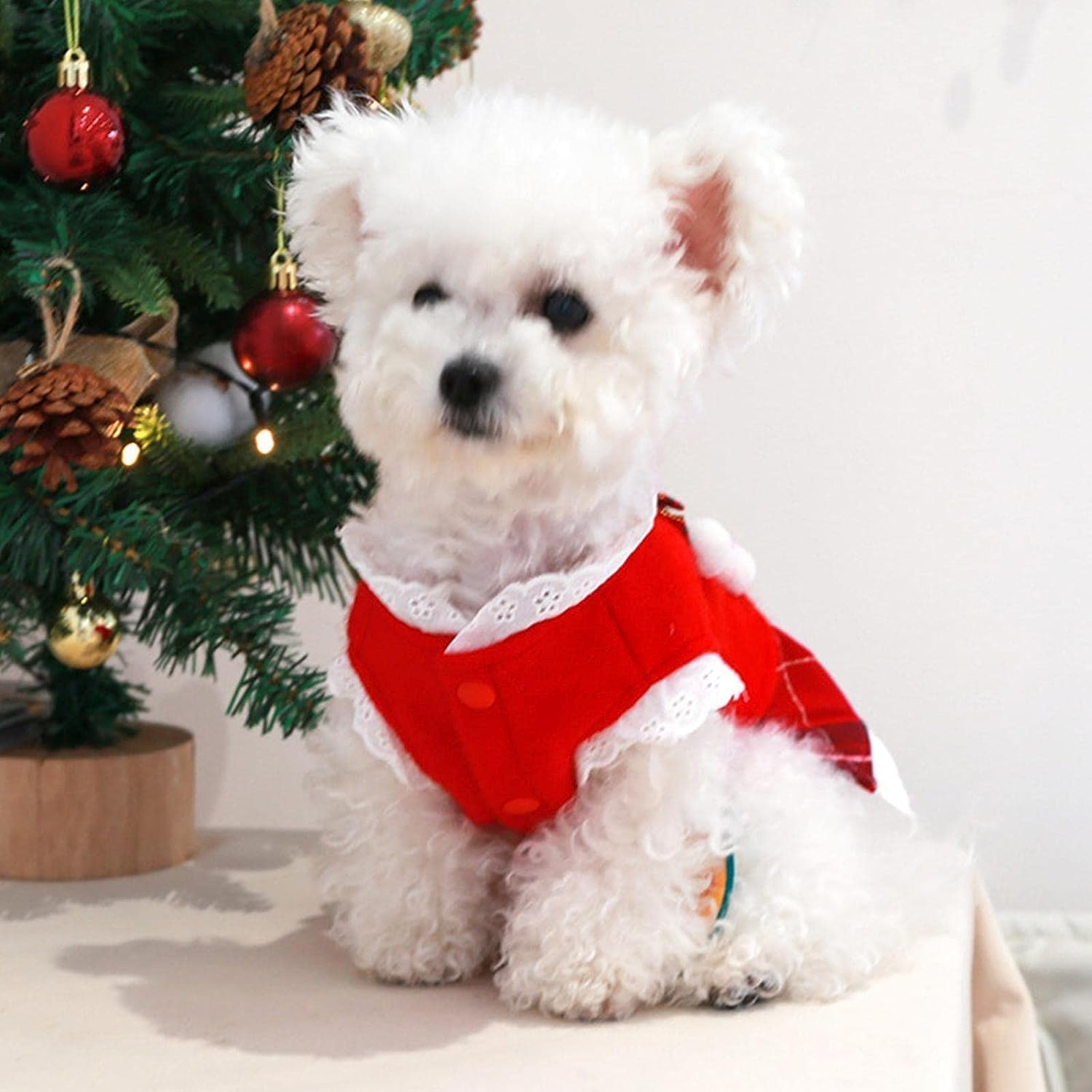 Christmas Pet Dress - Small Dog Costume for Christmas,Dog Dress for Christmas, Pet Clothes for Small Dogs Cats Puppy Kitten, Festival Dog Costume Skirt Outfit image number 5