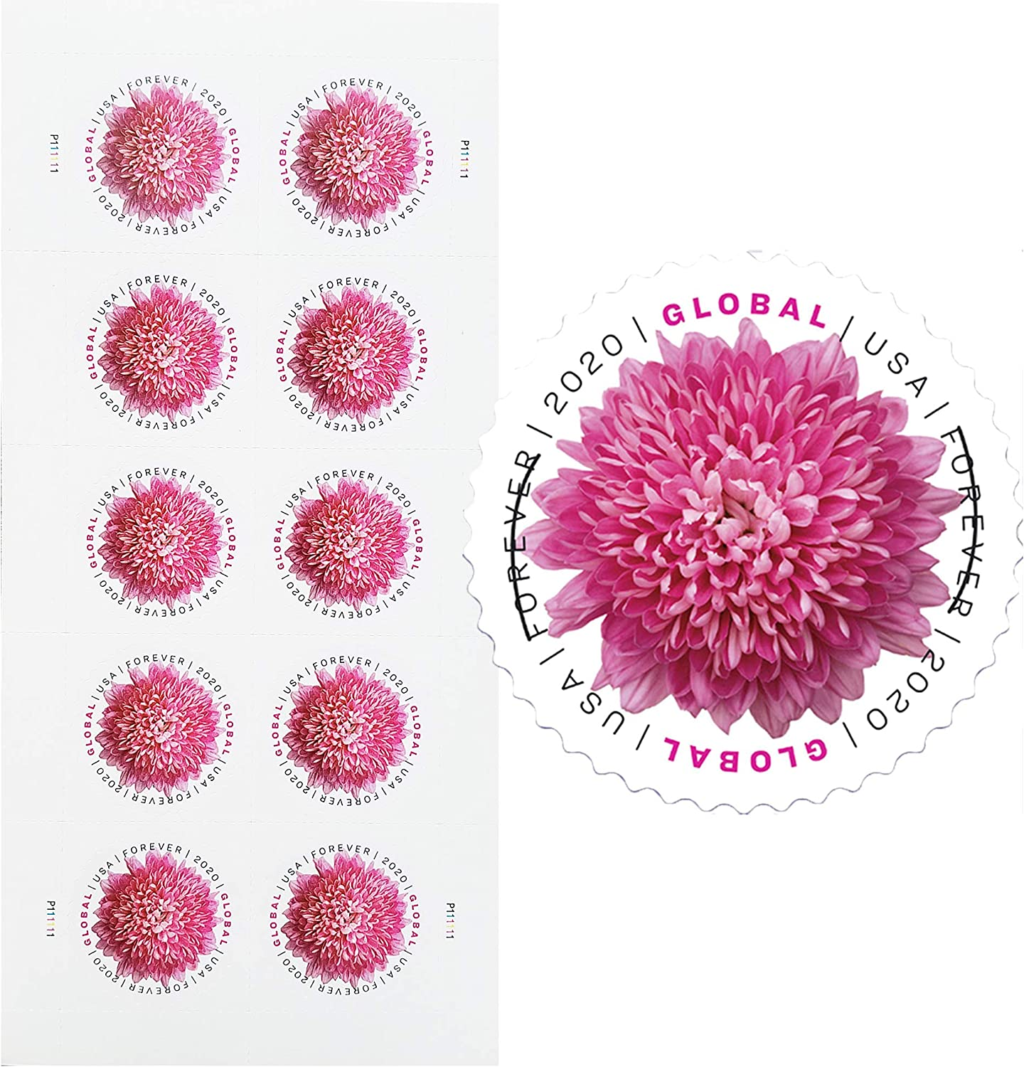 Global Chrysanthemum Sheet of 10 International Mail First Class Forever US Postage Stamps Holiday Celebration Flower (10 Stamps)