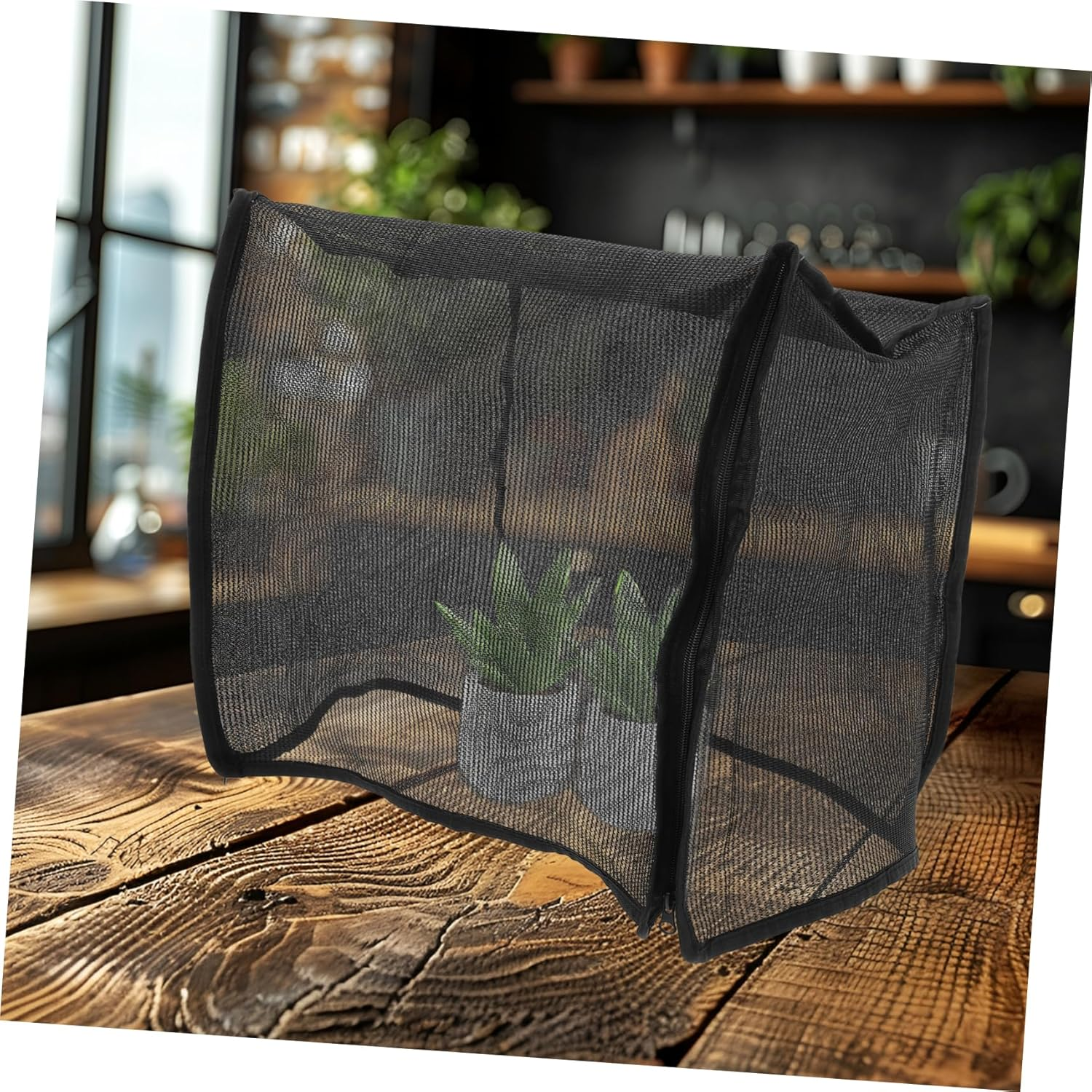 ORFOFE Succulent Planting Box Portable Mushroom Greenhouse Mycology Supplies Tabletop Display