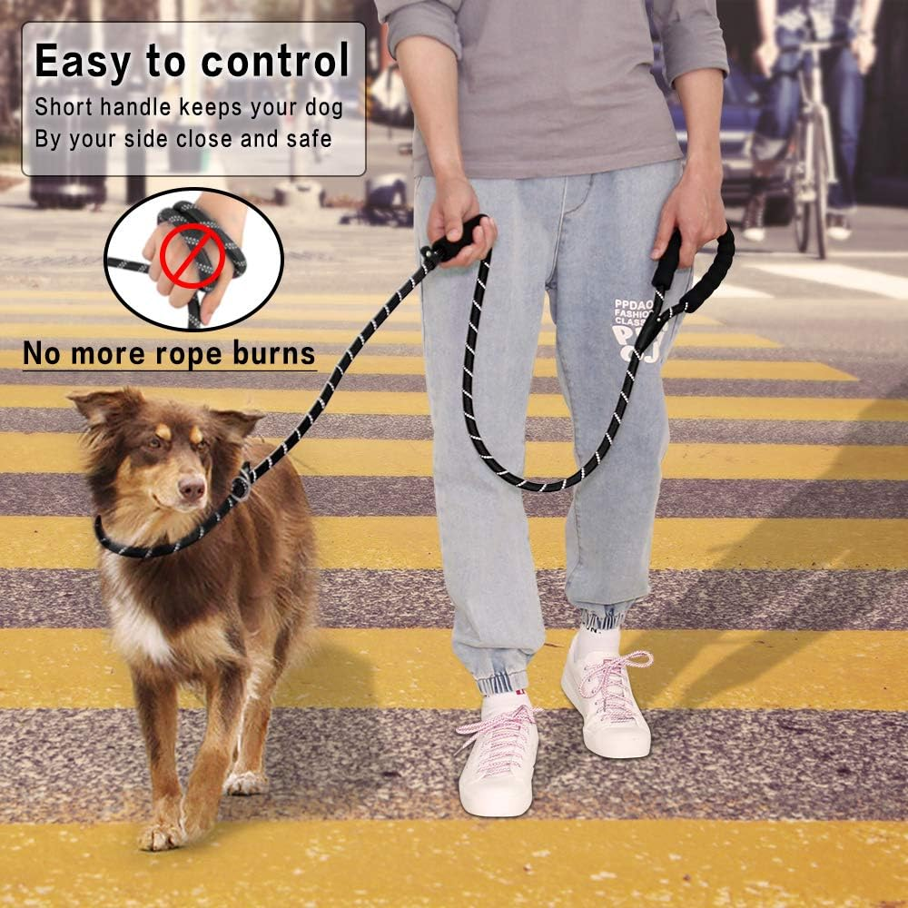 PLUTUS PET Slip Lead Dog Leash - Anti-Choking with Traffic Padded Two Handles, Reflective Strong Sturdy Heavy Duty Rope, 6FT Training for Medium Large Dogs, 6' Black