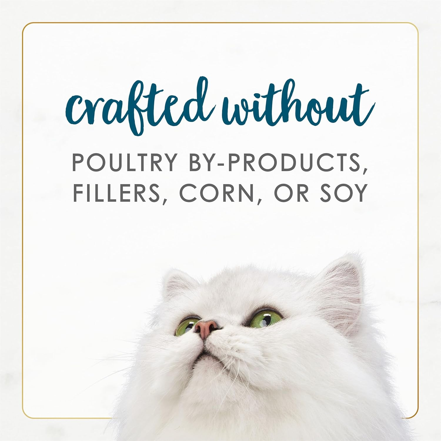 Purina Fancy Feast Natural Wet Cat Food, Gourmet Naturals Tuna Recipe in Gravy - (12) 3 Oz. Cans image number 4