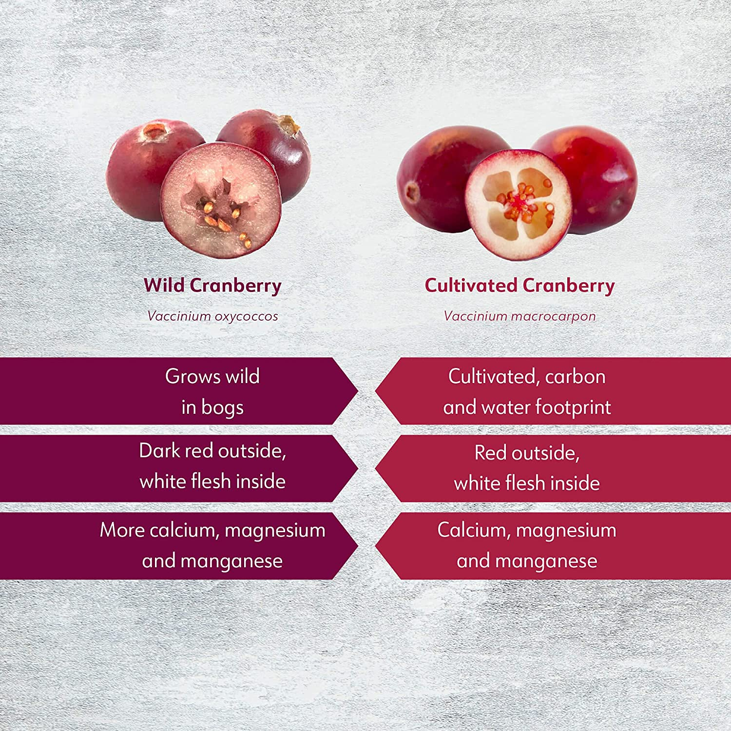 Wild Organic Freeze Dried Cranberry Powder, 3.2 Oz, 18-Day Supply, from Nordic Forests, Raw, No Added Sugar image number 4