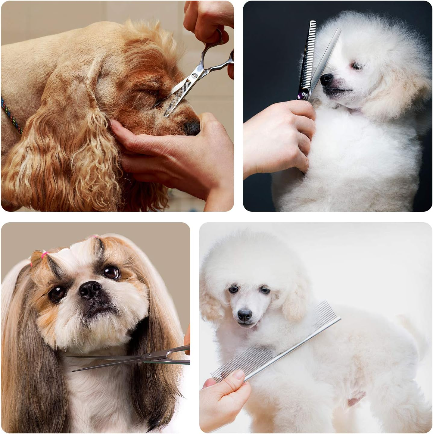 Maxshop Dog Grooming Scissors Kit, Heavy Duty Titanium Stainless Steel Professional Pet Grooming Scissors Kit with Comb, Straight Scissors, Curved Scissors, Thinning Shears for Dogs and Cats image number 6