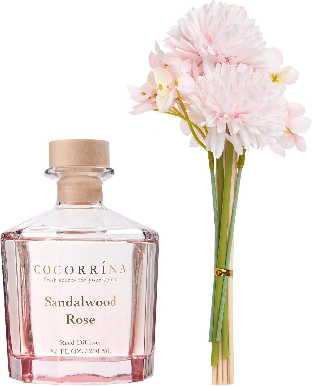COCORR&Iacute;NA Reed Diffuser Set- Sandalwood Rose 8.5Oz Flower with 8 Sticks, Home Fragrance Reed Diffuser for Home Bedroom Office Bathroom Shelf Decor (Master Collection) image number 3