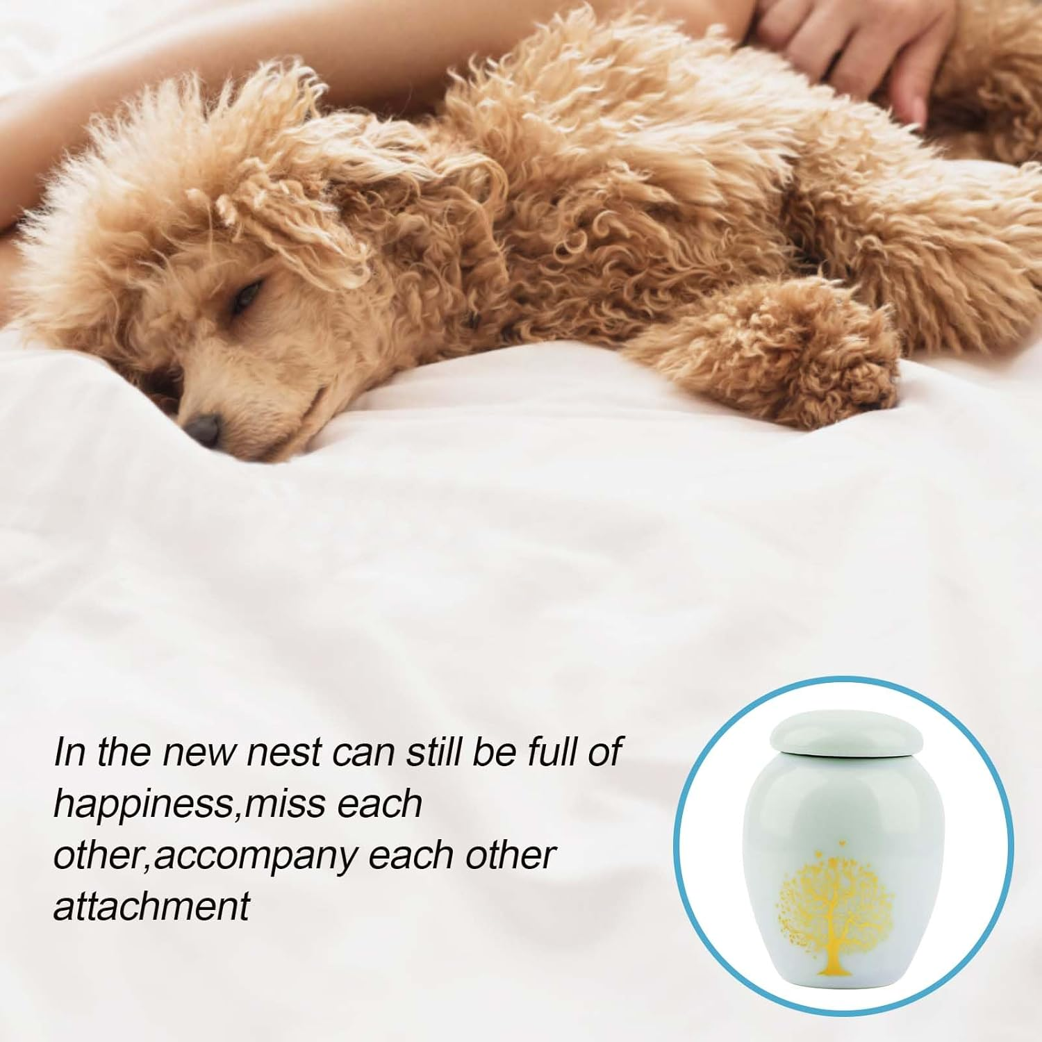 Pet Cremation Urns, Mini Urn with Engraved Tree of Life Pattern, Mini Keepsake Urn for Pet Ashes, Urns for Cat Ashes, Dogs and Small Pets (Light Blue) image number 4