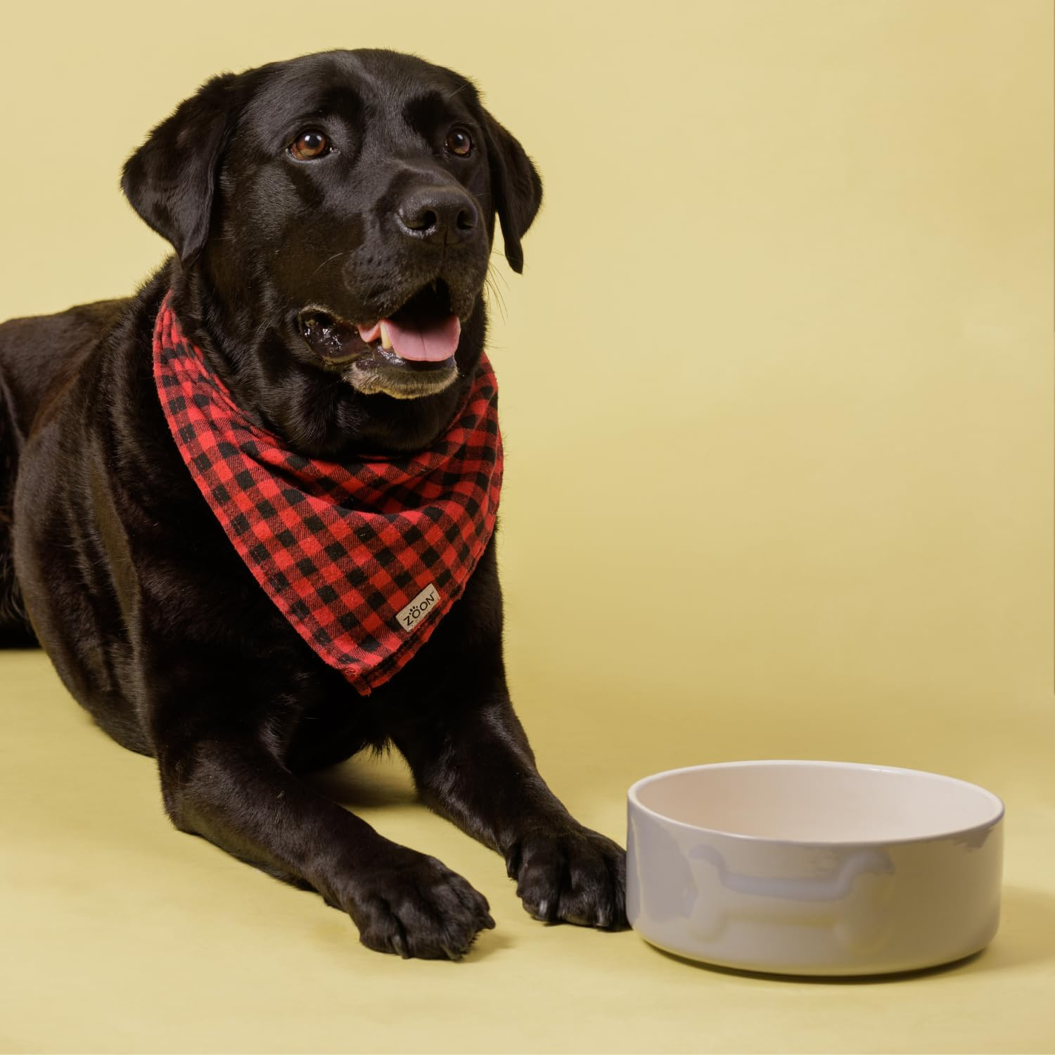 Mason Cash Ceramic Dog Bowl, 20 Cm - Grey image number 5