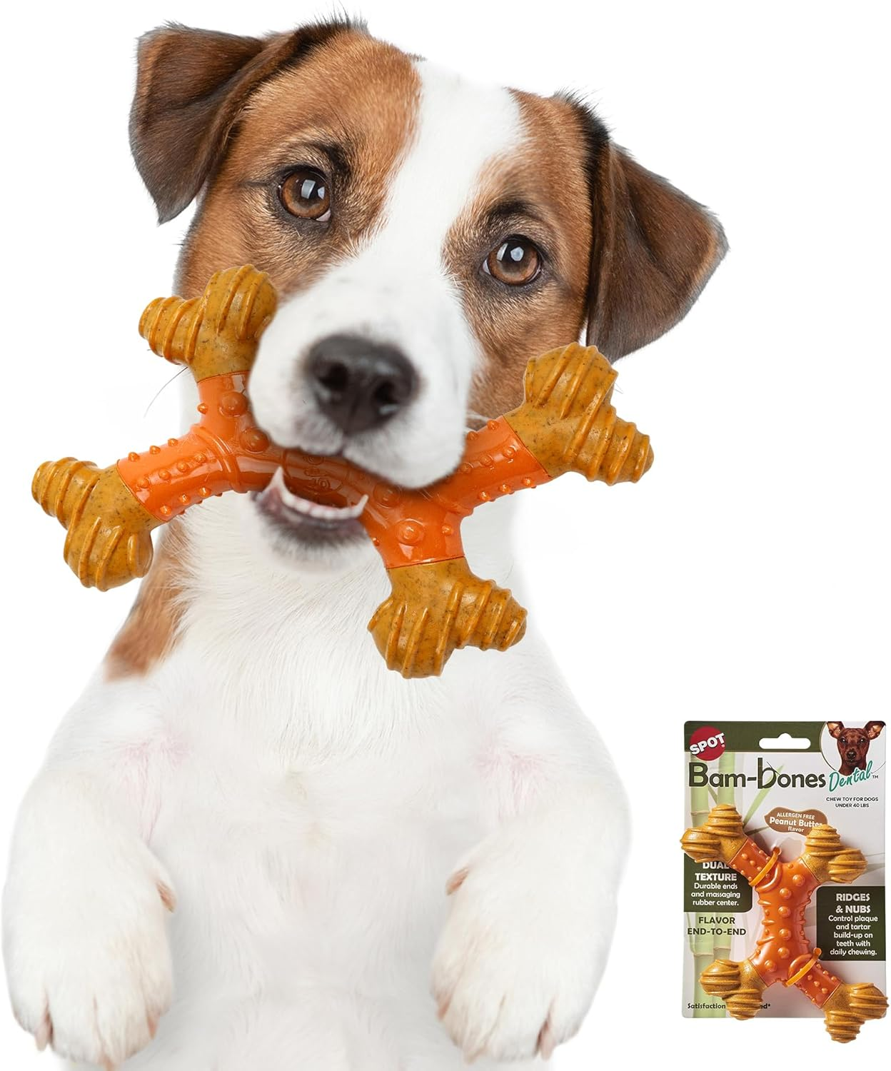 Bambone Dental X-Bone 8" / Dog Toys for Aggressive Chewers | Dog Chew Toy | Bone | Chew Toys for Aggressive Dogs | Interactive Dog Toy/Peanut Butter image number 2