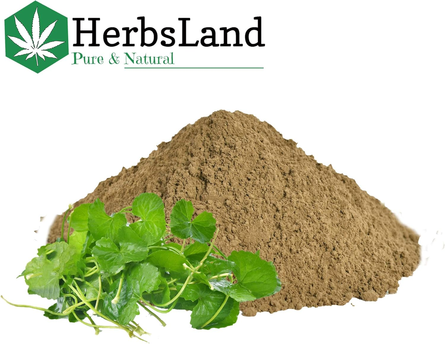 Herbsland&reg; 100% Bio Organic Brahmi Leaves Powder (Bacopa Monnieri) for Hair Growth & Skin Care | Hair and Scalp Treatment (200 Gm) image number 1