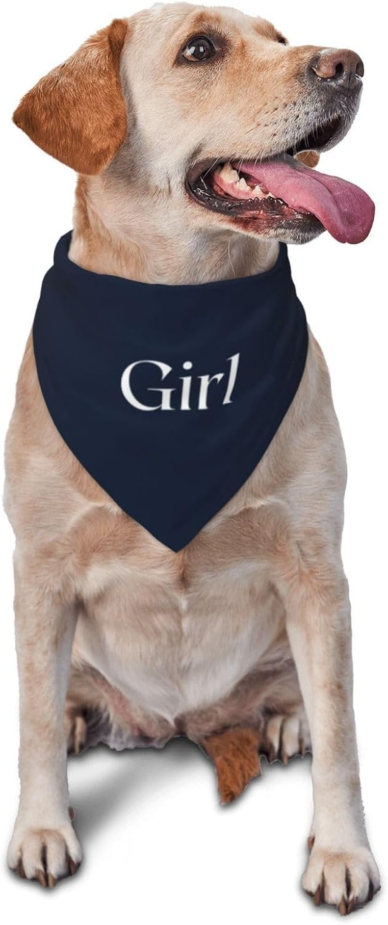 Vercosee It'S a Boy It'S a Girl Gender Reveal/Baby Announcement Dog Bandana,Engagement Bandana,Pet Dog Triangle Scarf Reversible,Baby Shower Photography Props1Pack (Blue)