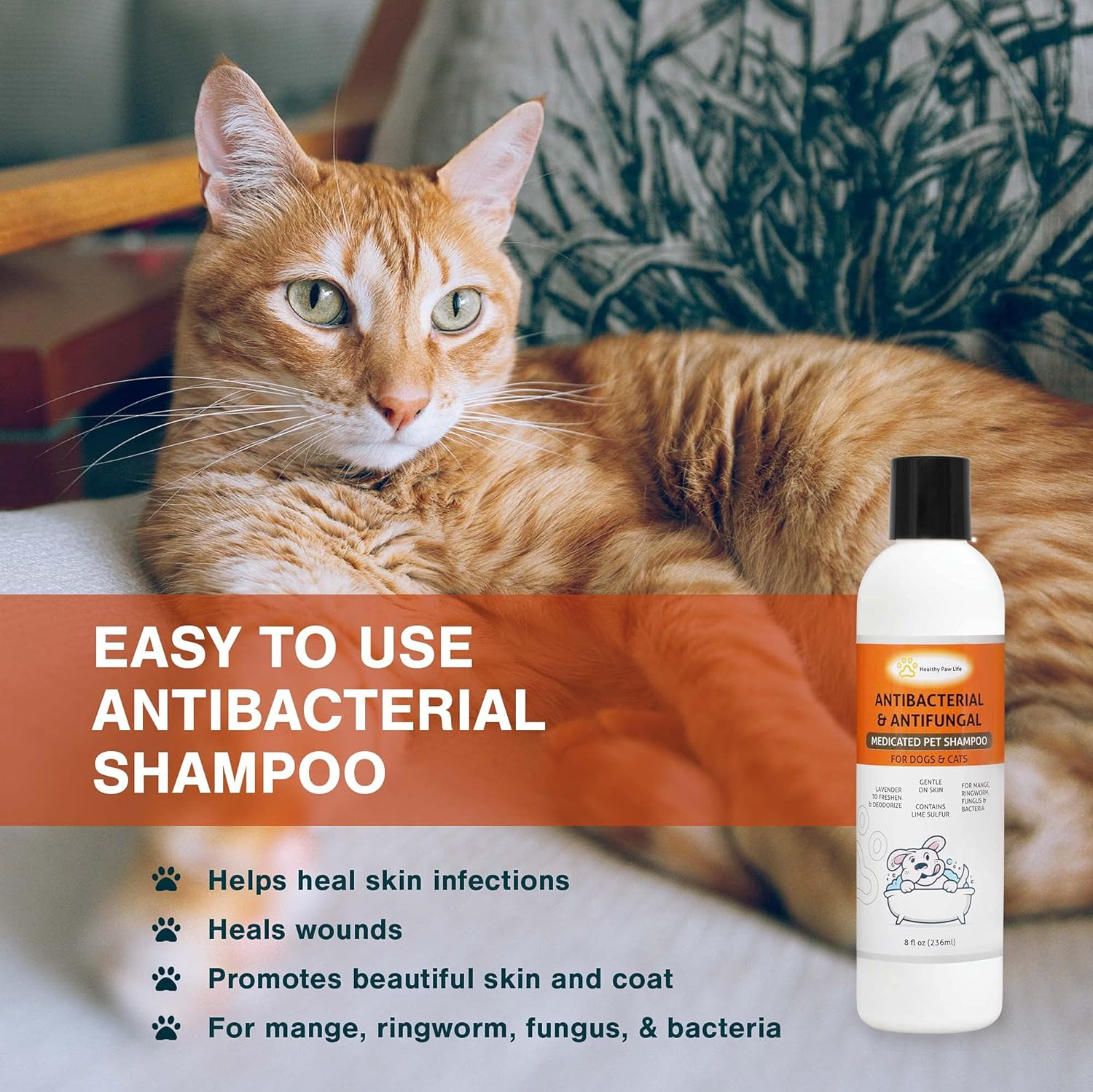 Lime Sulfur Pet Shampoo - Pet Care and Veterinary Solution for Itchy and Dry Skin - Safe for Dog, Cat, Puppy, Kitten, Horse image number 3