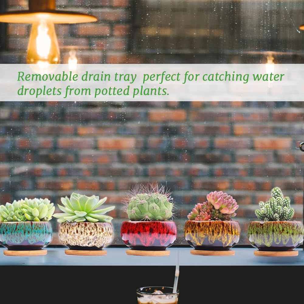 5-Piece Ceramic Indoor Succulent Plant Pots with Drain and Tray, Succulent Plant Pots, round Table Decorative Flower Pots, Ceramic Flower Pot Set, Plants Not Included image number 1