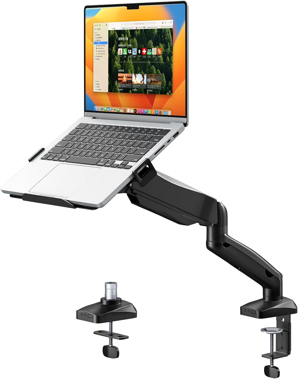 PUTORSEN 2 in 1 Laptop Stand Desk Holder, for 11.6-17.3 Inch Notebook & 17-32 Inch Monitor, Laptop Arm Mount Holds up to 9 Kg, VESA 75/100 Mm, Table Clamp and Eyelet Mounting image number 4