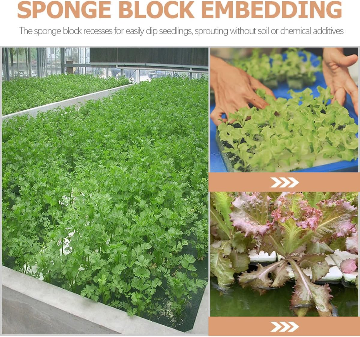 CIYODO 2Pcs Hydroponic Floating Plant Boards 40Mm Hole Diameter Foam Blocks Soil-Free Hydroponic Gardening Supplies for Vegetable and Sprout Growing in Home Greenhouse image number 2