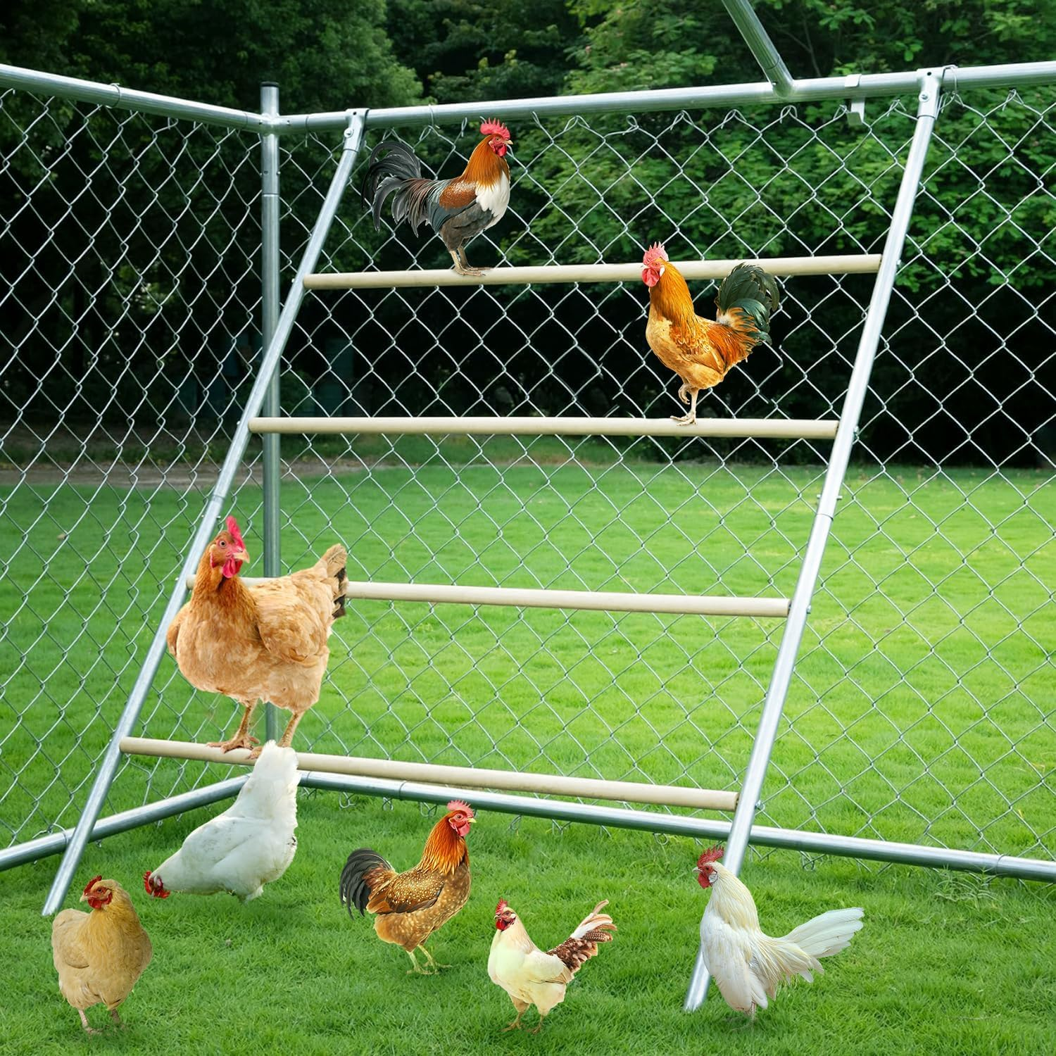 YUMEKA Chicken Roosting Ladder,Chicken Perch for Coop,Chick Roosting Bars, Cock Coop Toys, Suitable for Chicken Run and Chicken Perch, Backyard Poultry, Farm Roost Toys for Hen 55.1' L X 40.1' W