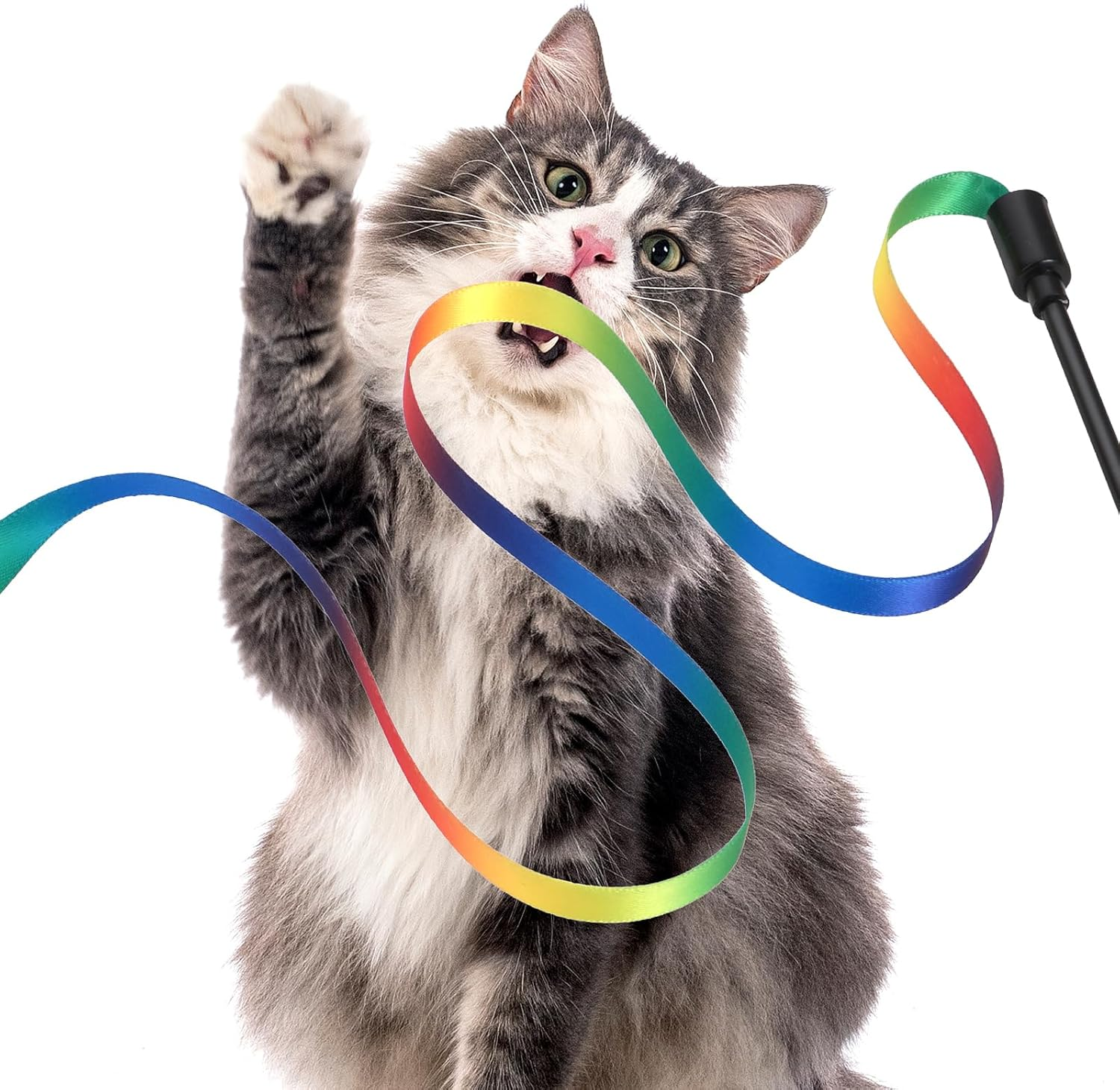 Amaxiu Cat Wand Toy Set, Interactive Cat Wand Toy with Rainbow Ribbon String, Rainbow Cloth String, Leopard Print Cloth String for Small Cats Kittens Indoor Training Catcher(6 Packs) image number 6