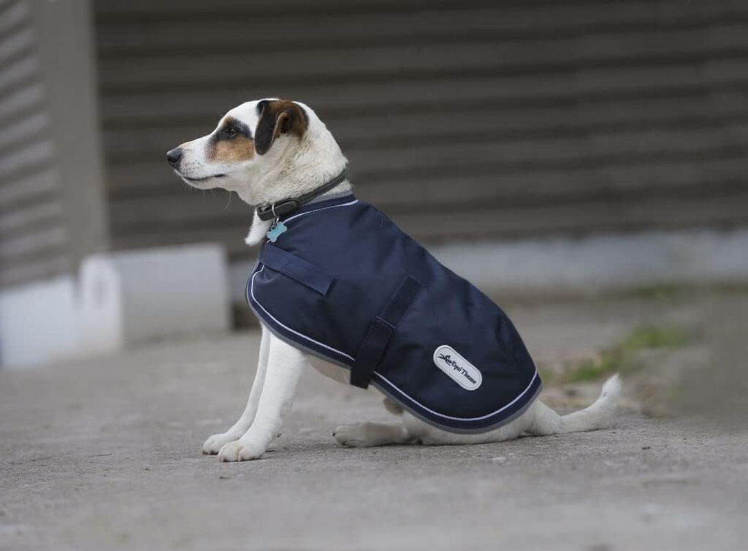 Ekkia/France Diego & LOUANA 600D Dog Cold Protection, Water Resistant, Windproof Raincoat, for Medium/Large Dogs, Navy, 23.6 Inches (60 Cm)