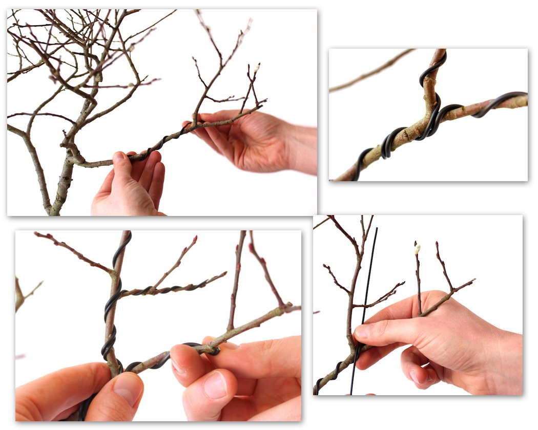 DS. DISTINCTIVE STYLE Aluminium Bonsai Wire 3 Pieces 10M Bonsai Training Tools Craft Aluminium Wire (1.0 Mm / 1.5 Mm / 2.0 Mm, 10M for Each Size) (Black) image number 3