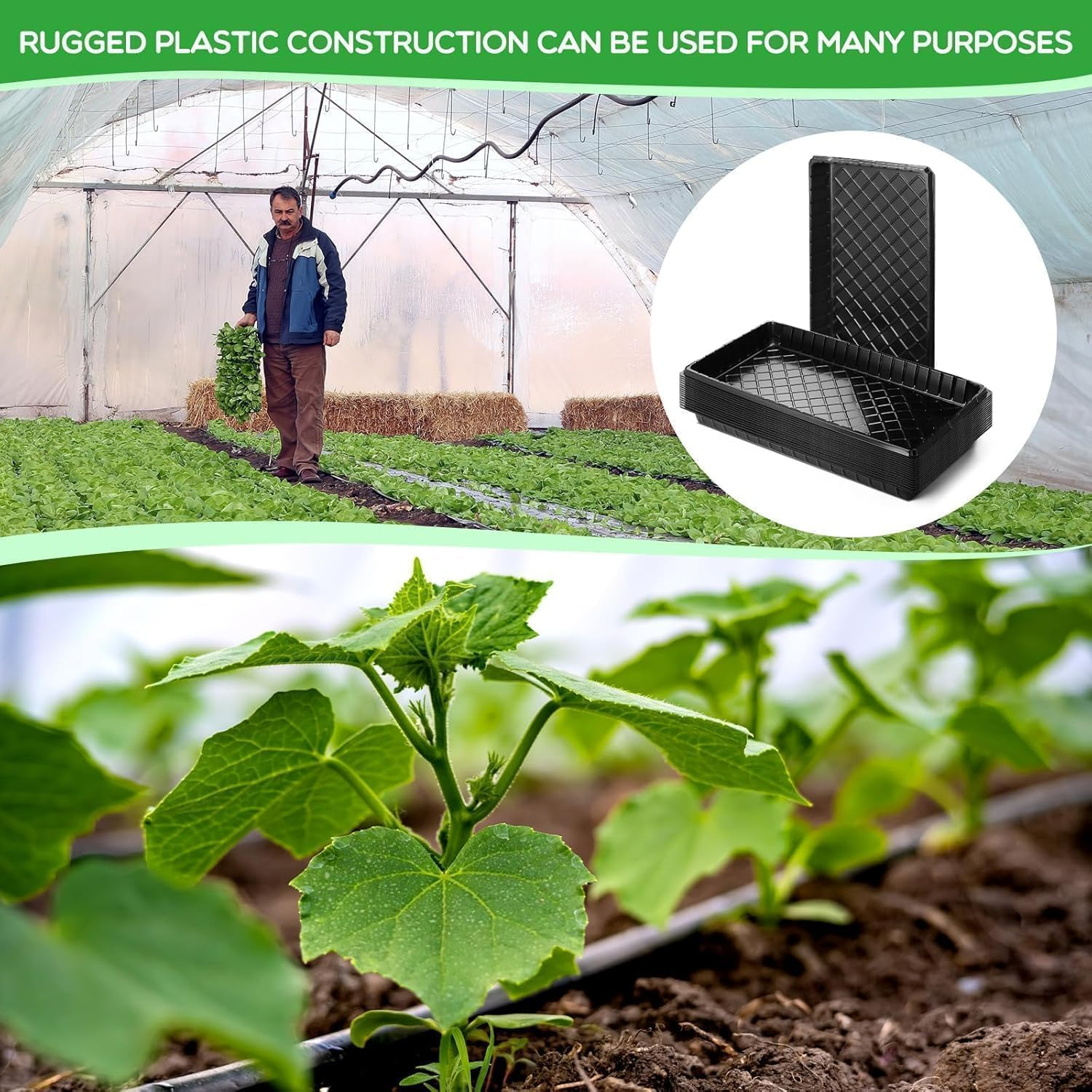 Plant Planting Garden Seed Starting Planting Trays 8 Pack without Drainage Holes Black Indoor Seedling Propagation Tray Microgreens Wheatgrass Sprouting Greenhouse Supplies Plant Tray image number 3