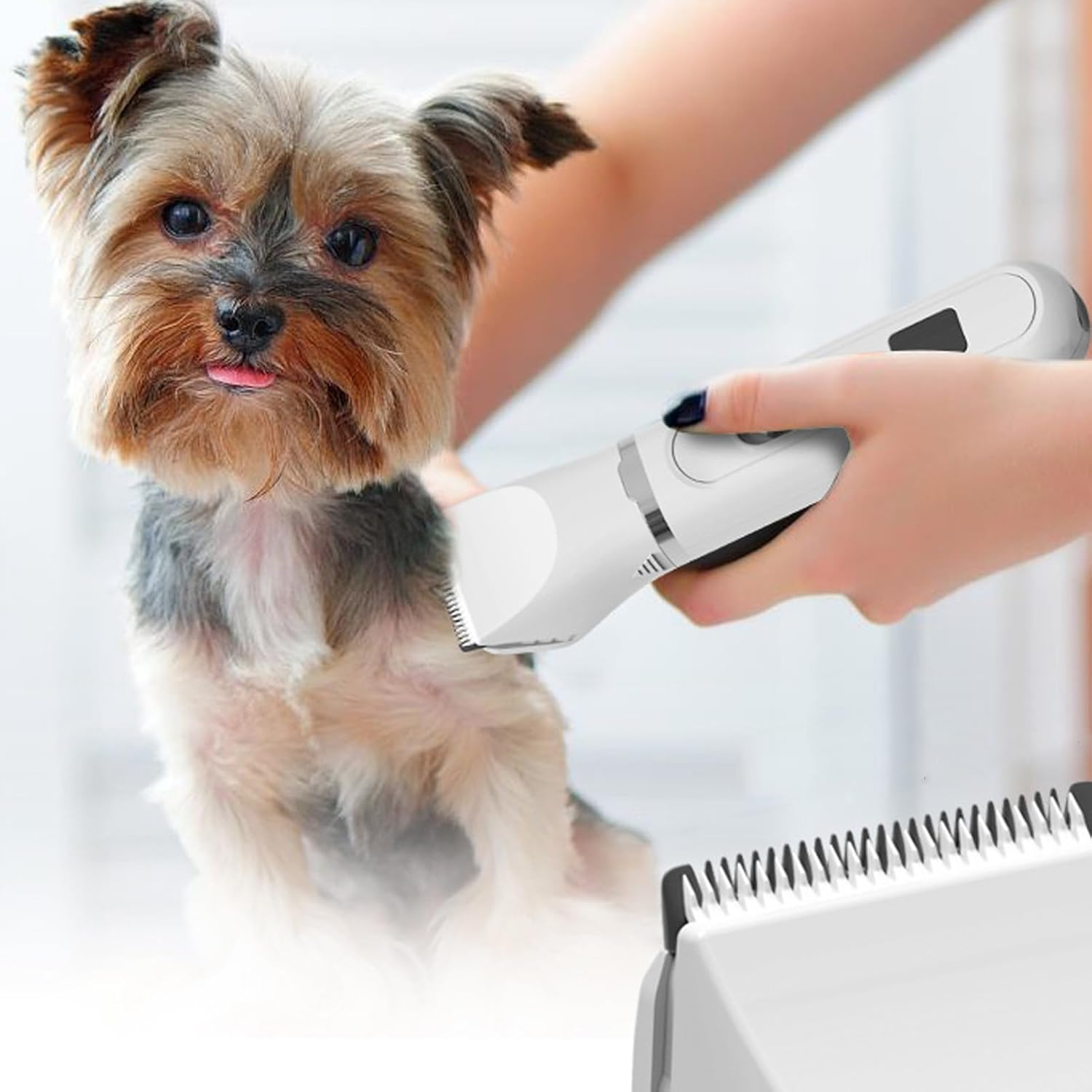 4 in 1 Dog Grooming Kit,Quiet Dog Paw Clipper,Cordless Small Dog Grooming Clipper,Electric Hair Trimmer for Small Dogs Grooming image number 5