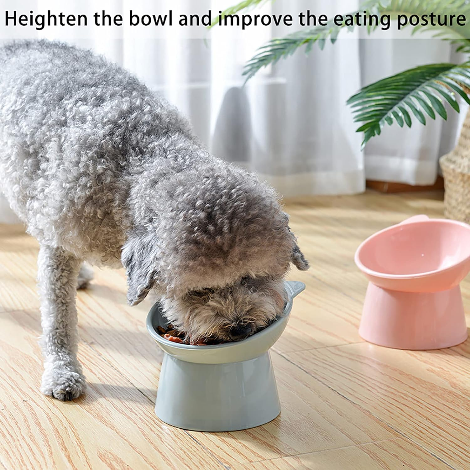 3 Pcs Raised Cat Bowls 45&deg;Tilted Elevated Cat Bowl Food and Water Bowl Pet High Bowls Pet Feeder Bowl Pet Bowl Dish for Cats and Small Dogs (Blue+Green+Pink)/2443 image number 3