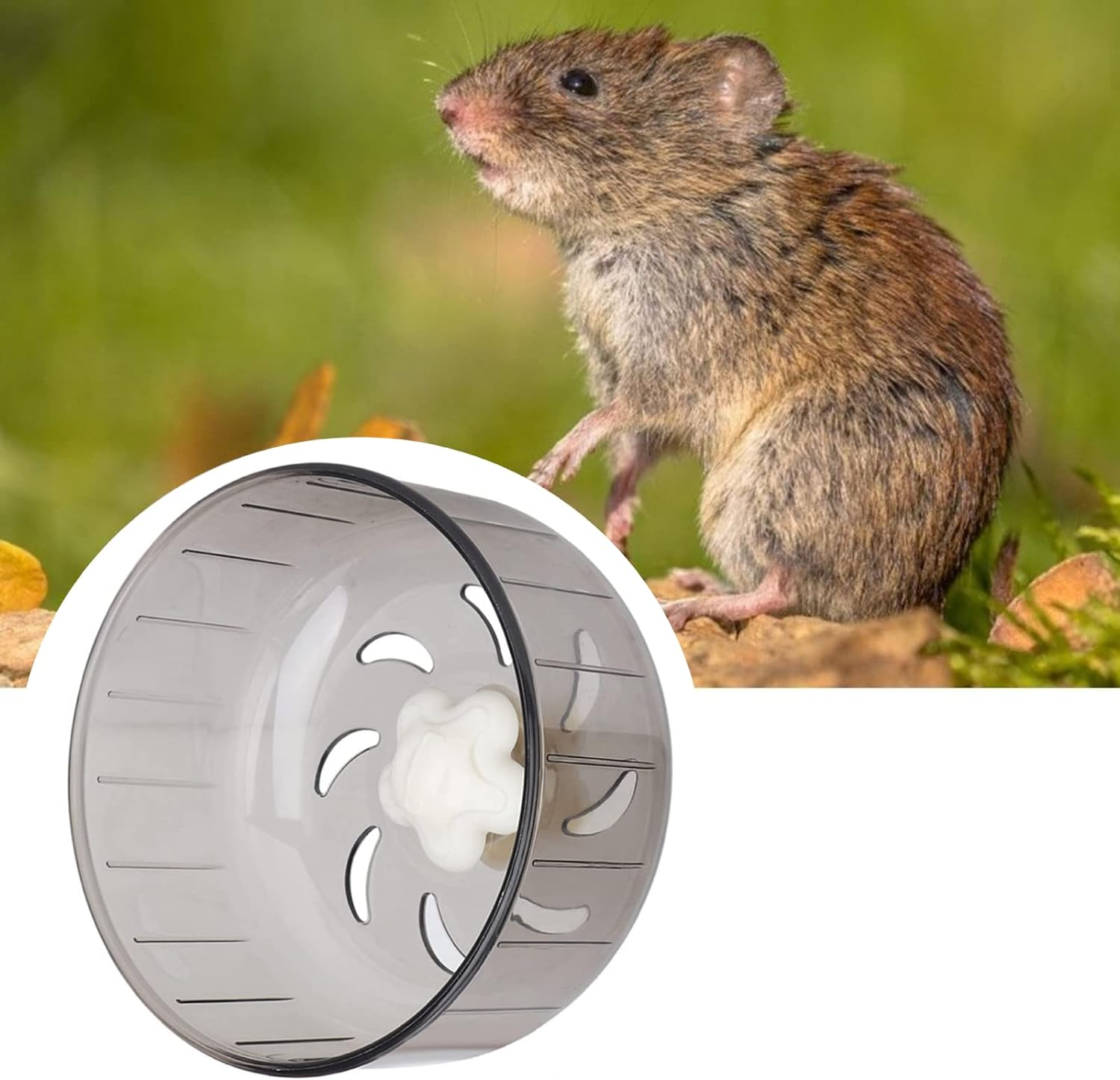 Cute Little Pet Exercise Wheel, Adjustable Bracket Silent Rotating Acrylic Exercise Jogging Suitable for Gerbils Guinea Pigs Hamsters 13 Cm image number 1