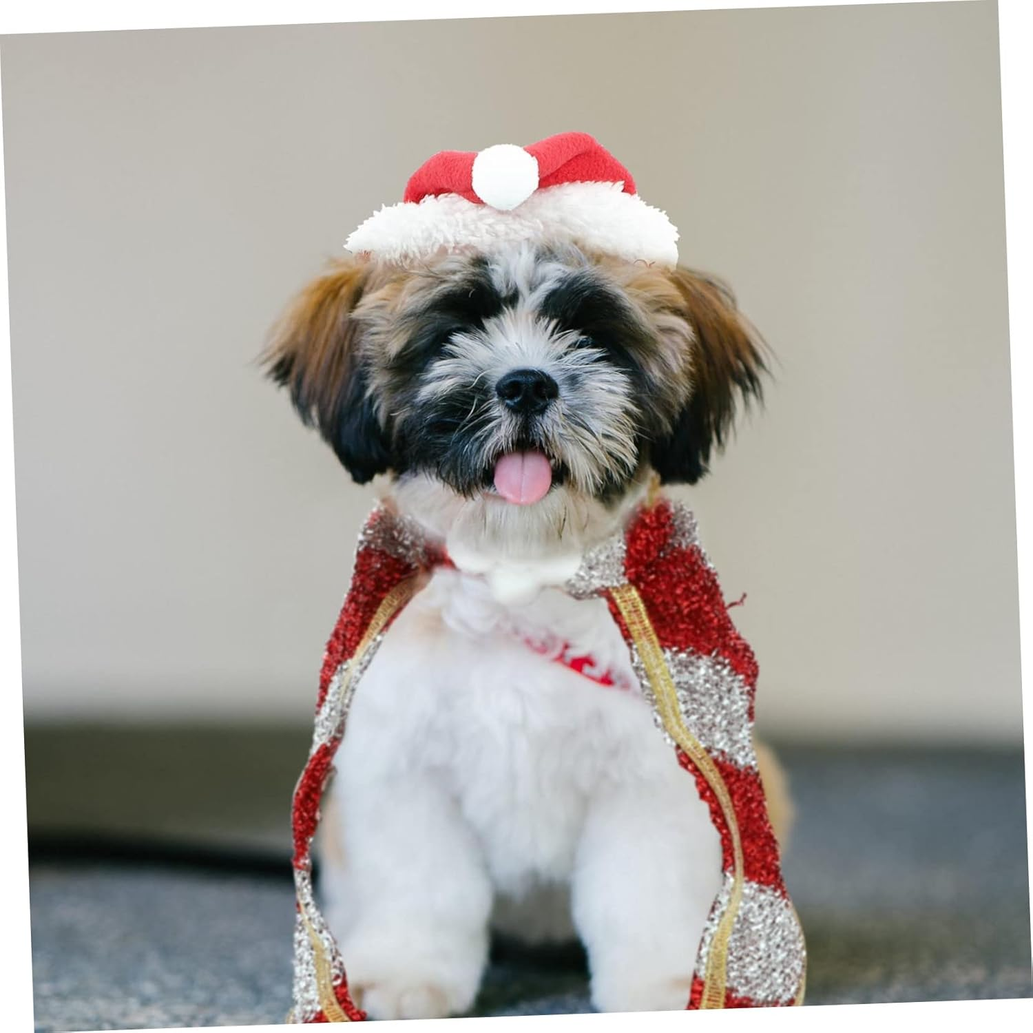 Cat and Dog Clothes Santa Hat and Cape Set for Pet Christmas Costume Winter Dress up Clothing for Dogs for Holiday Parties image number 1