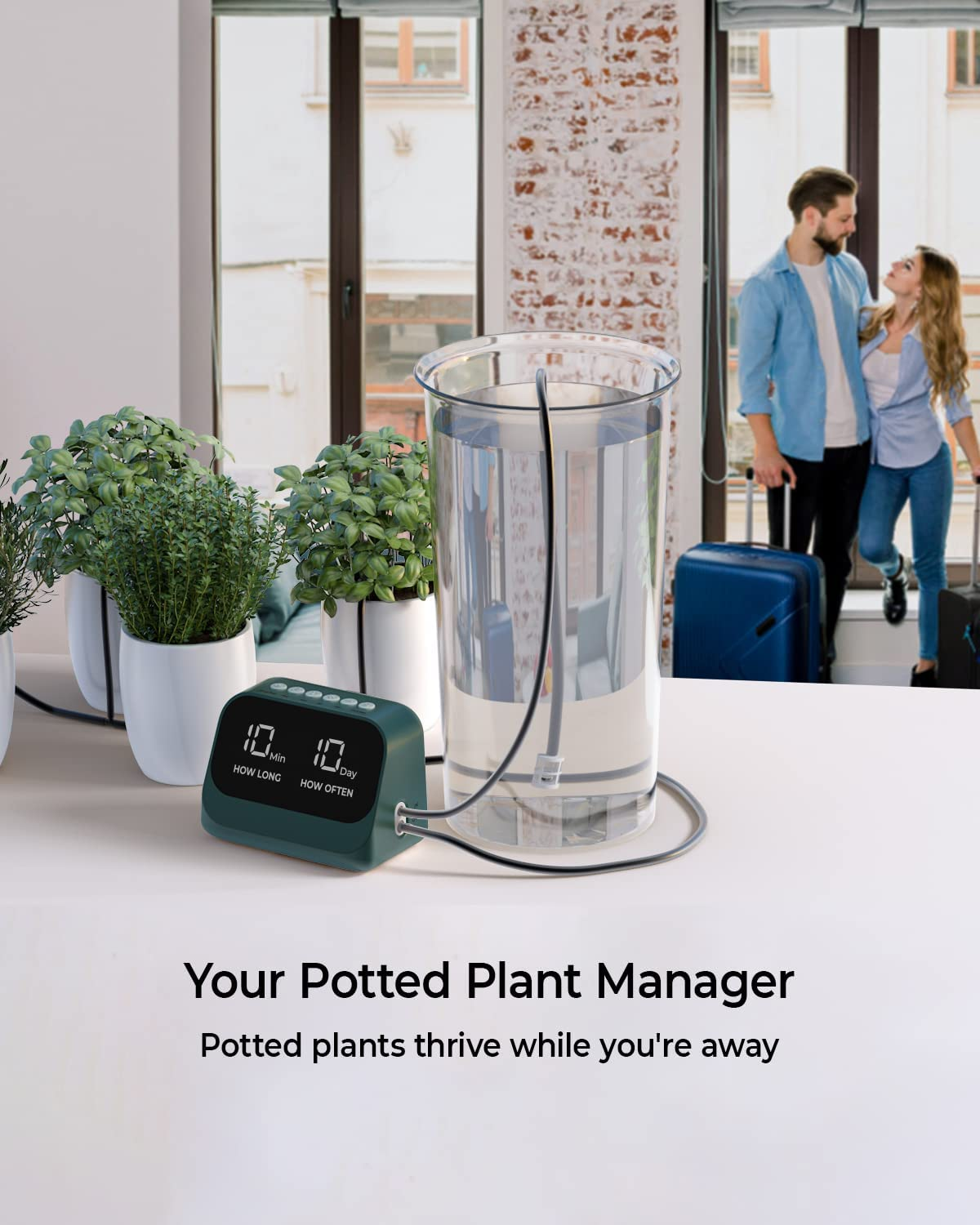 Upgraded Automatic Drip Irrigation Kit Watering System for Potted Plants, Houseplants Greenhouse Watering Equipment with DIY Programmable Timer, USB LED Display & Large Capacity Battery (Green) - Blue image number 2