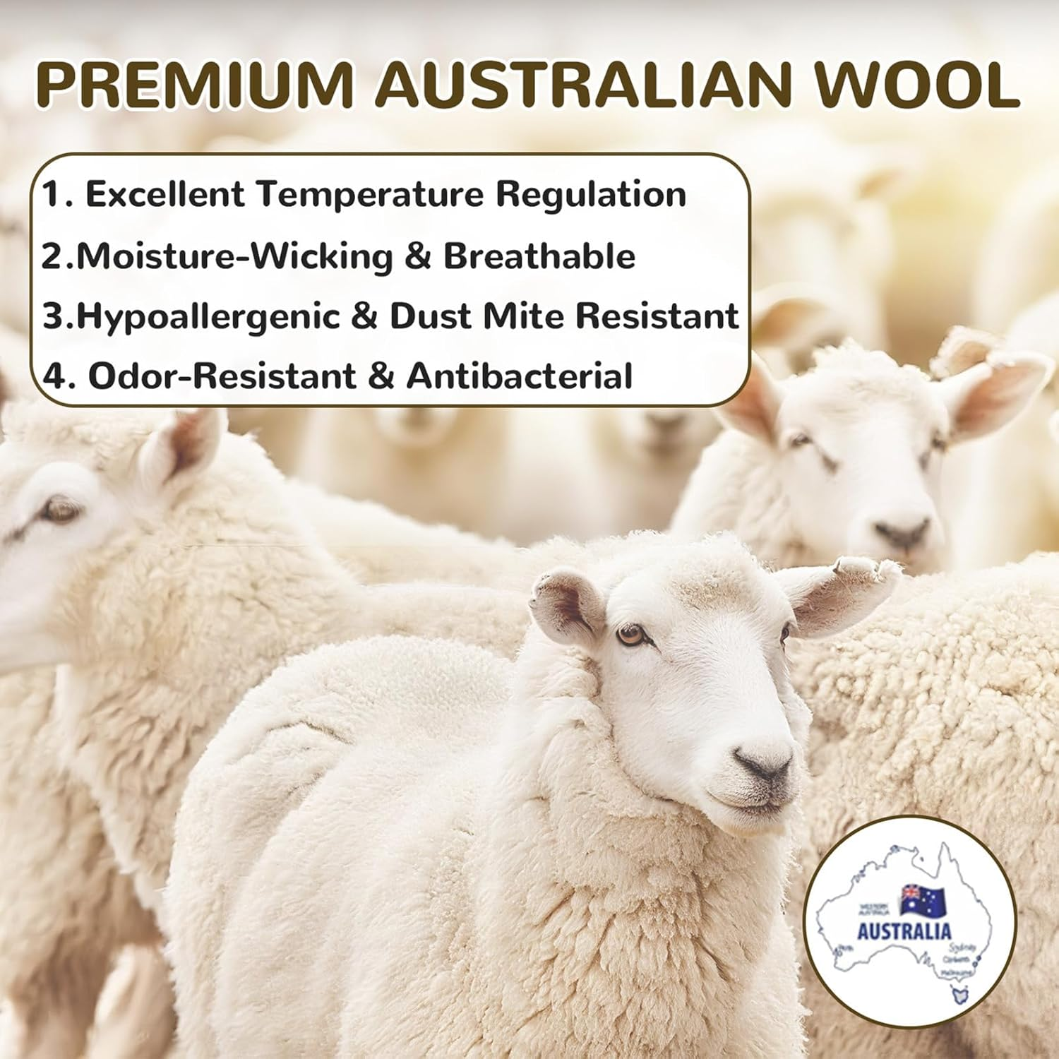 Australian Merino Wool Quilt - All-Season Warm, Breathable & Lightweight Doona Duvet in 350/500/700 GSM (500Gsm,Double) image number 6