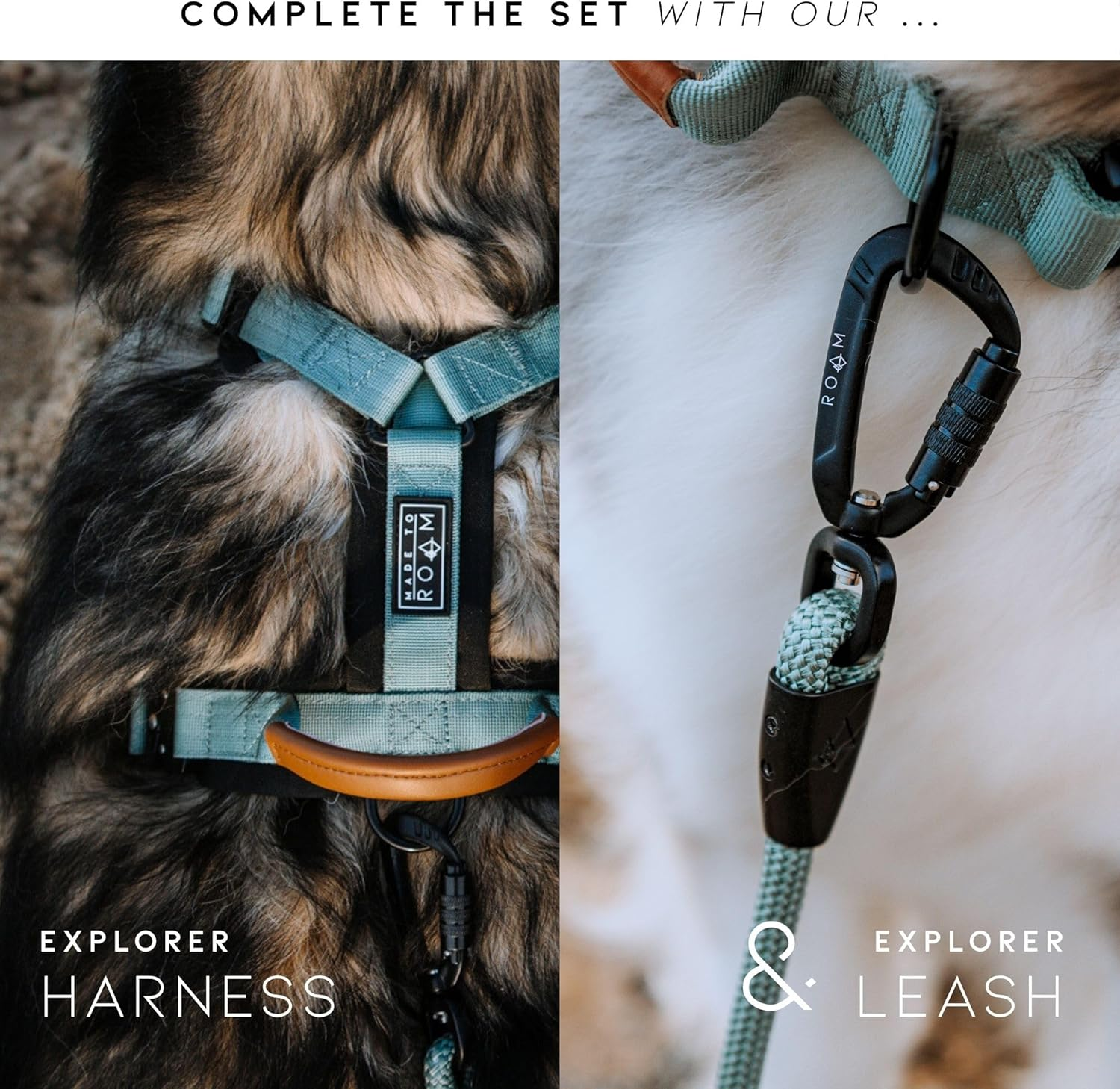 ROAM Premium Dog Collar - Adjustable Heavy Duty Nylon Collar with Quick-Release Metal Buckle (Colorado Nightsky, Size 1) image number 6