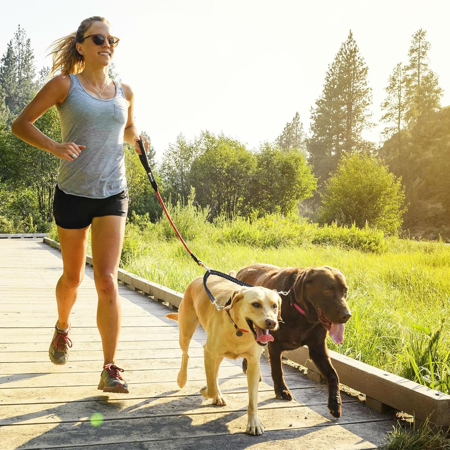 Double Dog Leash for 2 Dogs, Heavy Duty Nylon Reflective Dual Dog Lead for Small Medium Large Dogs, 360 Swivel No Tangle Walking Leash for Walking Running Training,Black image number 1