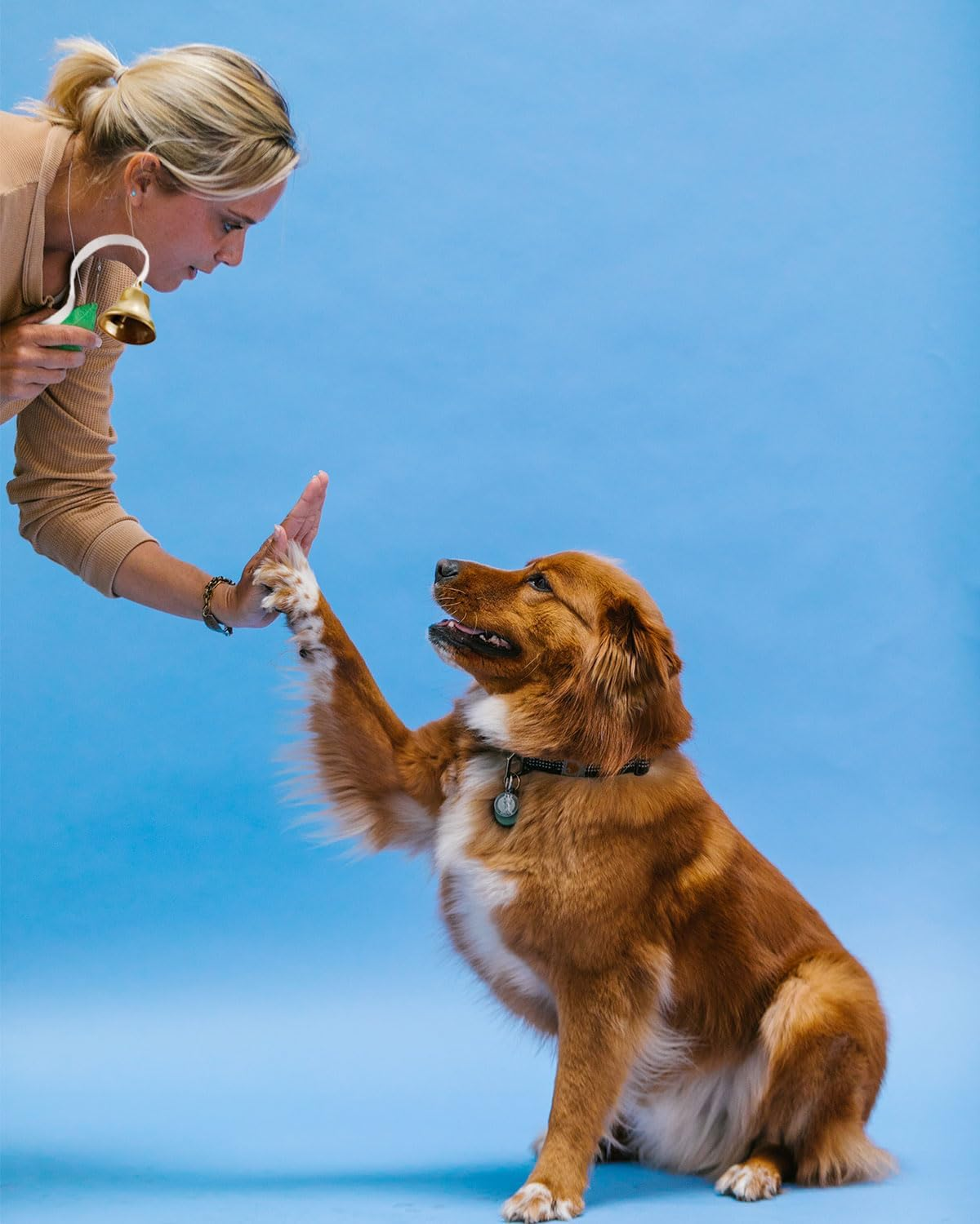 Goldtiger Dog Doorbell,Fixed Metal Dog Doorbell,Dog Bell for Door Potty Training,Bell for Dogs to Ring to Go Outside,Manual Assemble Wall Mounted Dog Door Bell (White)