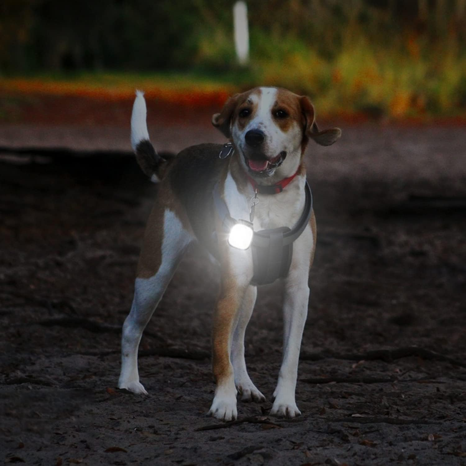 Hossom LED Clip Lamp, Pack of 2 Headlamps, LED Headlamps, Rechargeable Mini Headlamp with 4 Light Modes, Small Headlamp for Jogging, Fishing, Camping, Hiking, Running, Etc