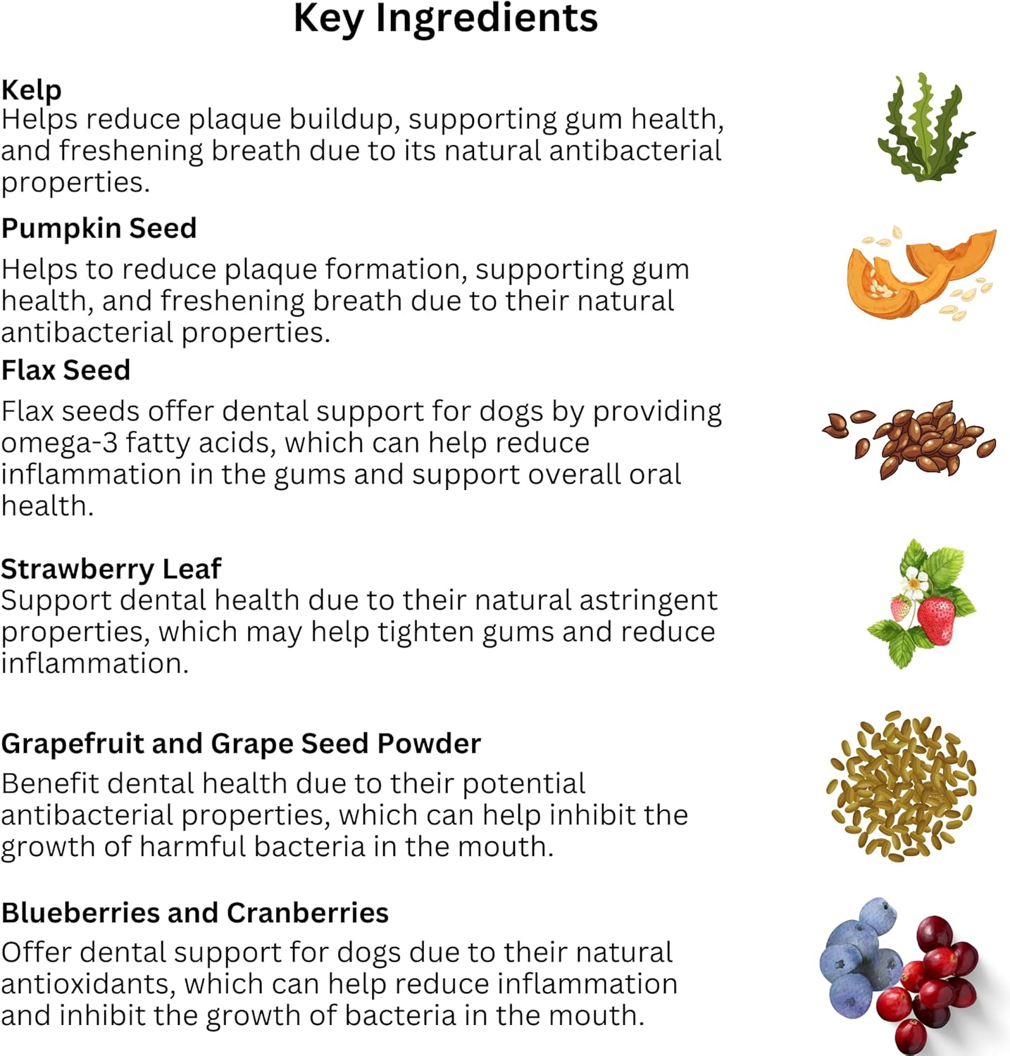 Petrition Teeth Gums Breath Support - 120 Chews Chicken Flavour image number 3