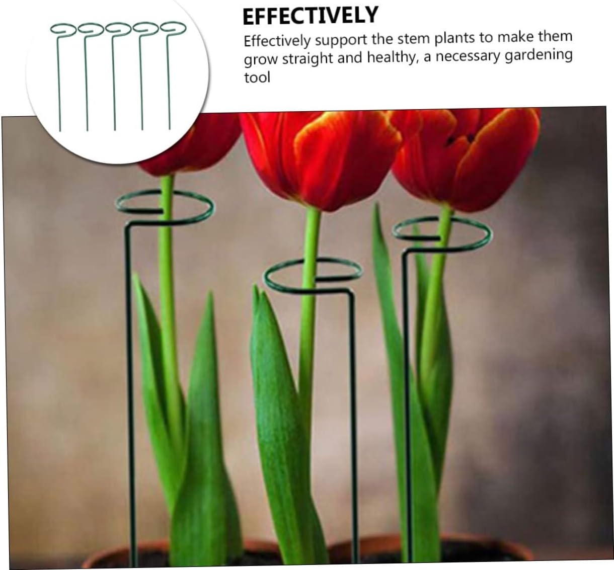 SEWOART 10Pcs Plant Support Stakes for Flower Plants and Reusable Garden Supports for Climbing and Upright for Home Gardening and Outdoor Decor