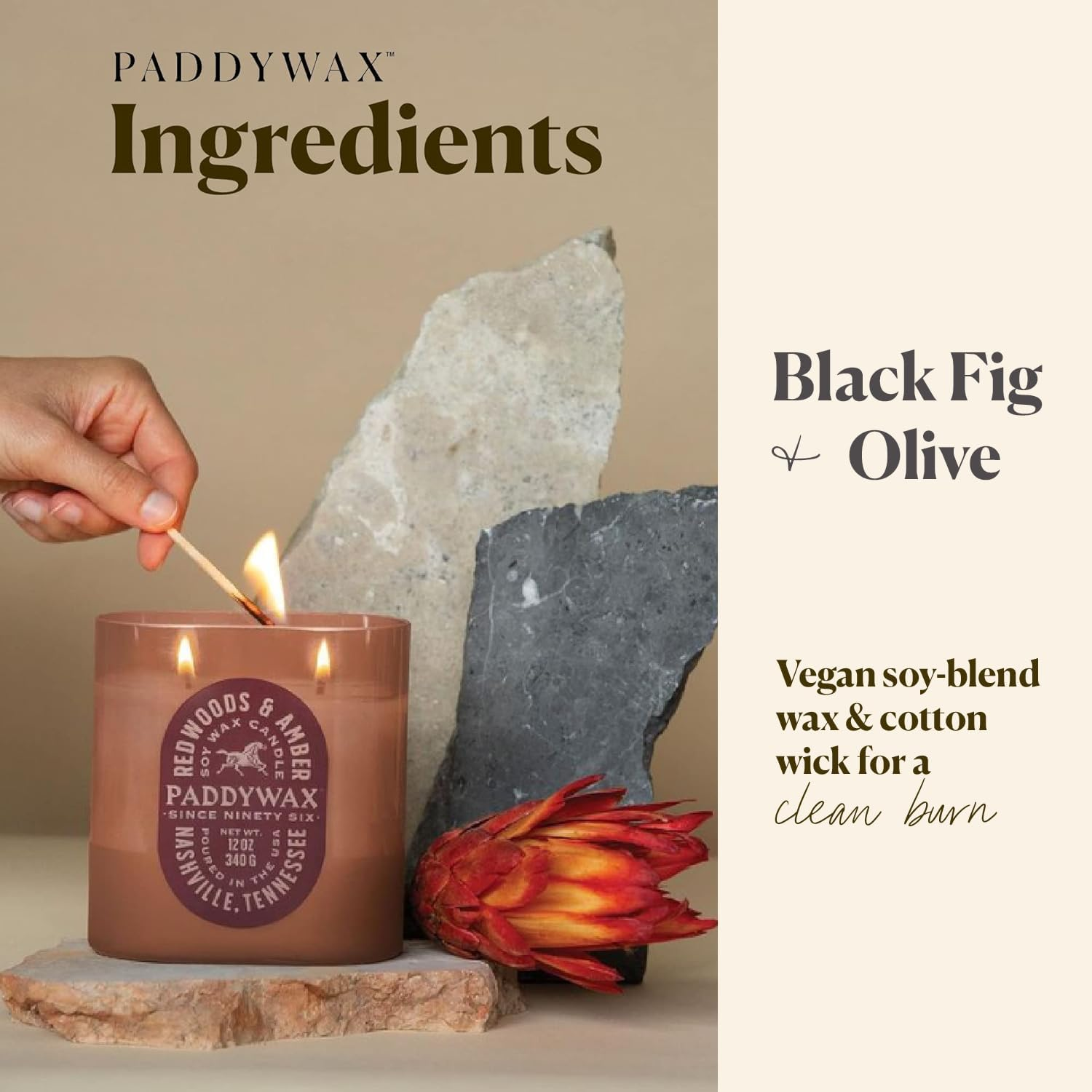 Paddywax Candles Vista Collection Scented Candle, 12-Ounce, Black Fig & Olive, 12 Ounces image number 3