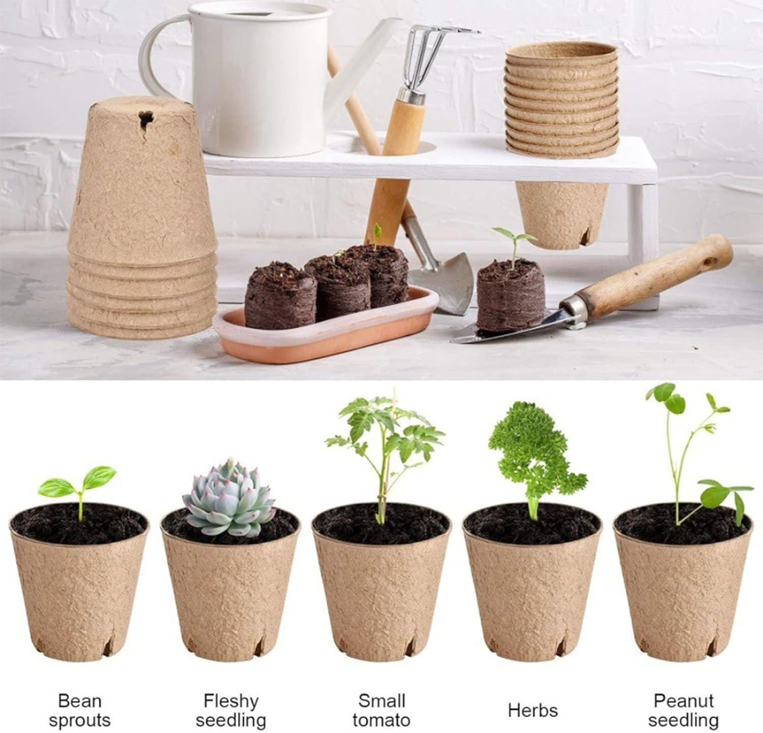 50 Packs of 3.15Inch Peat Pots,Entry-Level Garden and Nursery Seed Pots,Biodegradable Peat Pot Set with 50 Plant Labels and 2 Transplant Tools image number 3