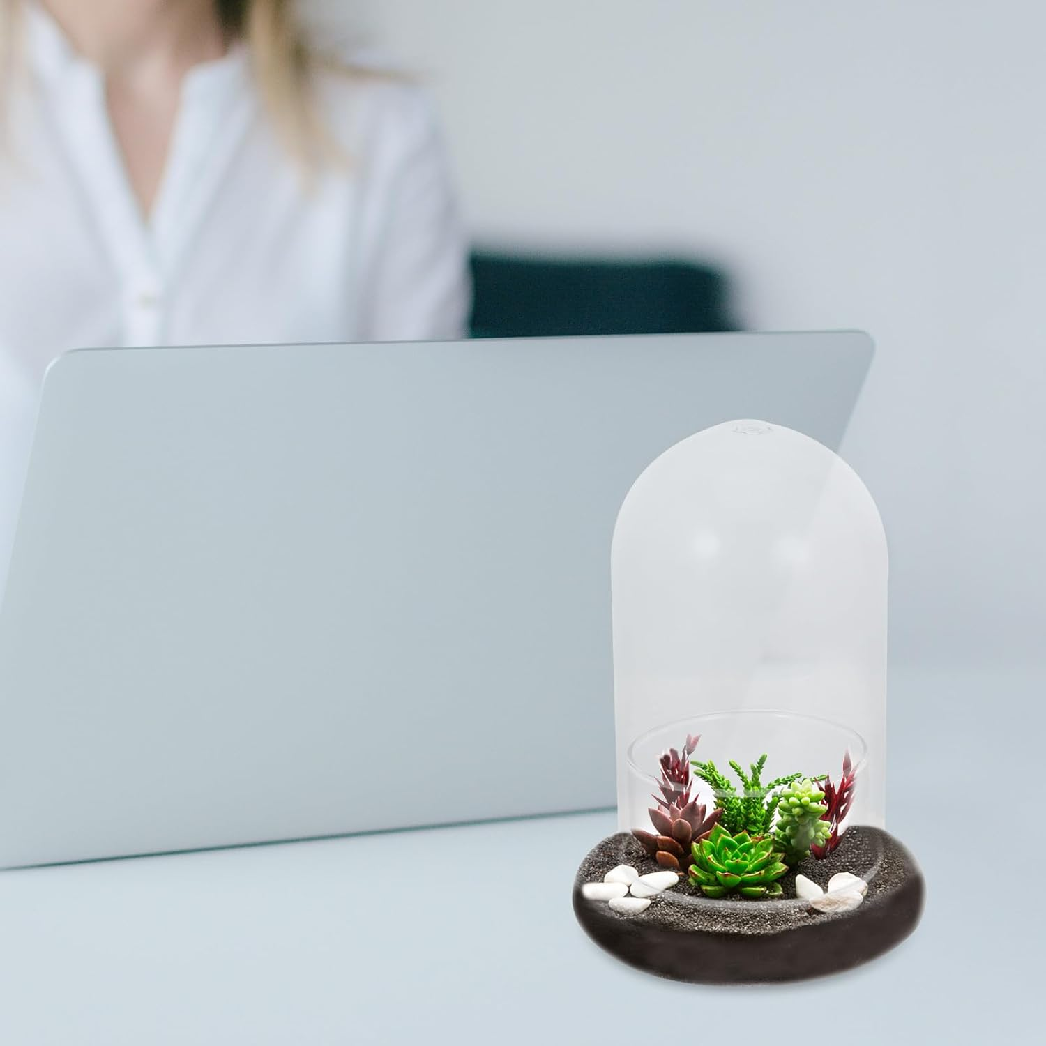 Cabilock 2Pcs Glass Cloche Bell Jar with round Base Glass Cloche Dome Jar Terrarium Glass Dome Bottle Miniature Floral Decoration image number 3