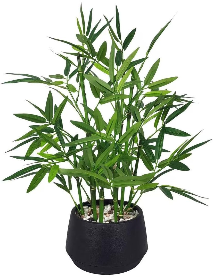 365 Blooming Decor 18" White Potted Faux Bamboo Plant- Luxury Artificial Bamboo Tree in White Pot for Home, Office, Kitchen, Counter Top, Indoor Decor, Money Tree, Lucky Bamboo Tree