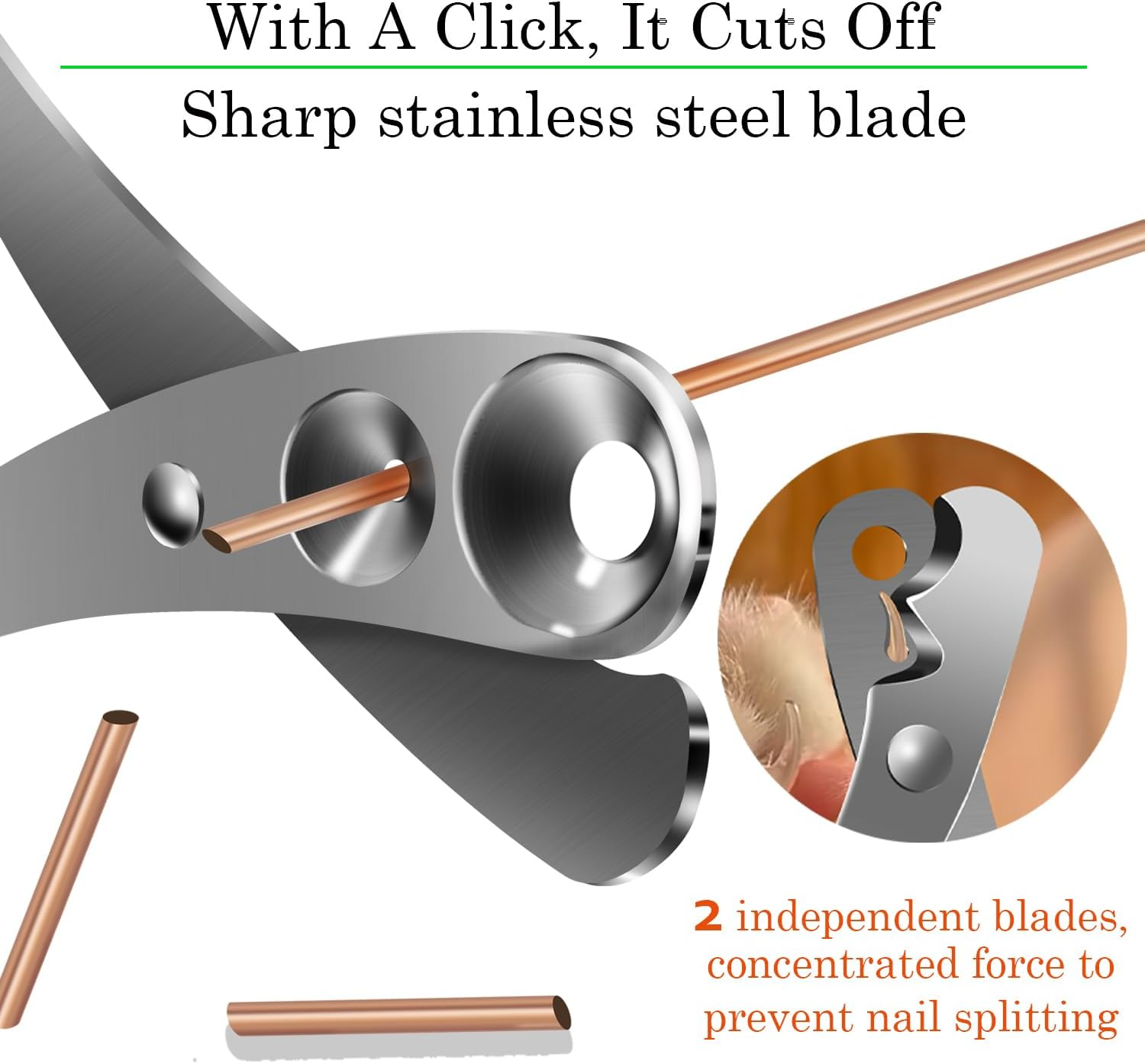 IFAN&trade; 2 Hole Claw Clippers for Different Age Pet Nail Clippers for Cats Can Avoid Cutting Blood Lines image number 5